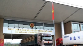 Bộ Xây dựng công bố thủ tục cấp giấy phép kinh doanh vận tải đa phương thức quốc tế