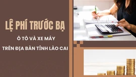 Ban hành Bảng giá tính lệ phí trước bạ đối với tài sản là ô tô, xe máy trên địa bàn tỉnh Lào Cai