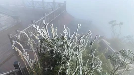 Thời tiết ngày 23/1: Vùng núi cao các tỉnh Bắc Bộ đề phòng băng giá và mưa tuyết