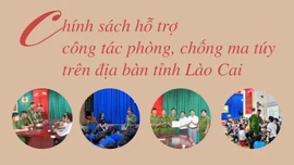 [Infographic] Nội dung hỗ trợ và mức hỗ trợ công tác phòng, chống ma túy trên địa bàn tỉnh Lào Cai