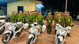 Mở đợt cao điểm tổng điều tra, đấu tranh truy quét tội phạm về ma túy trên địa bàn tỉnh