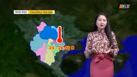 Dự báo thời tiết đêm 10 và ngày 11/6