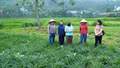 Sức trẻ trong hành trình xây dựng nền hành chính chuyên nghiệp, gần dân