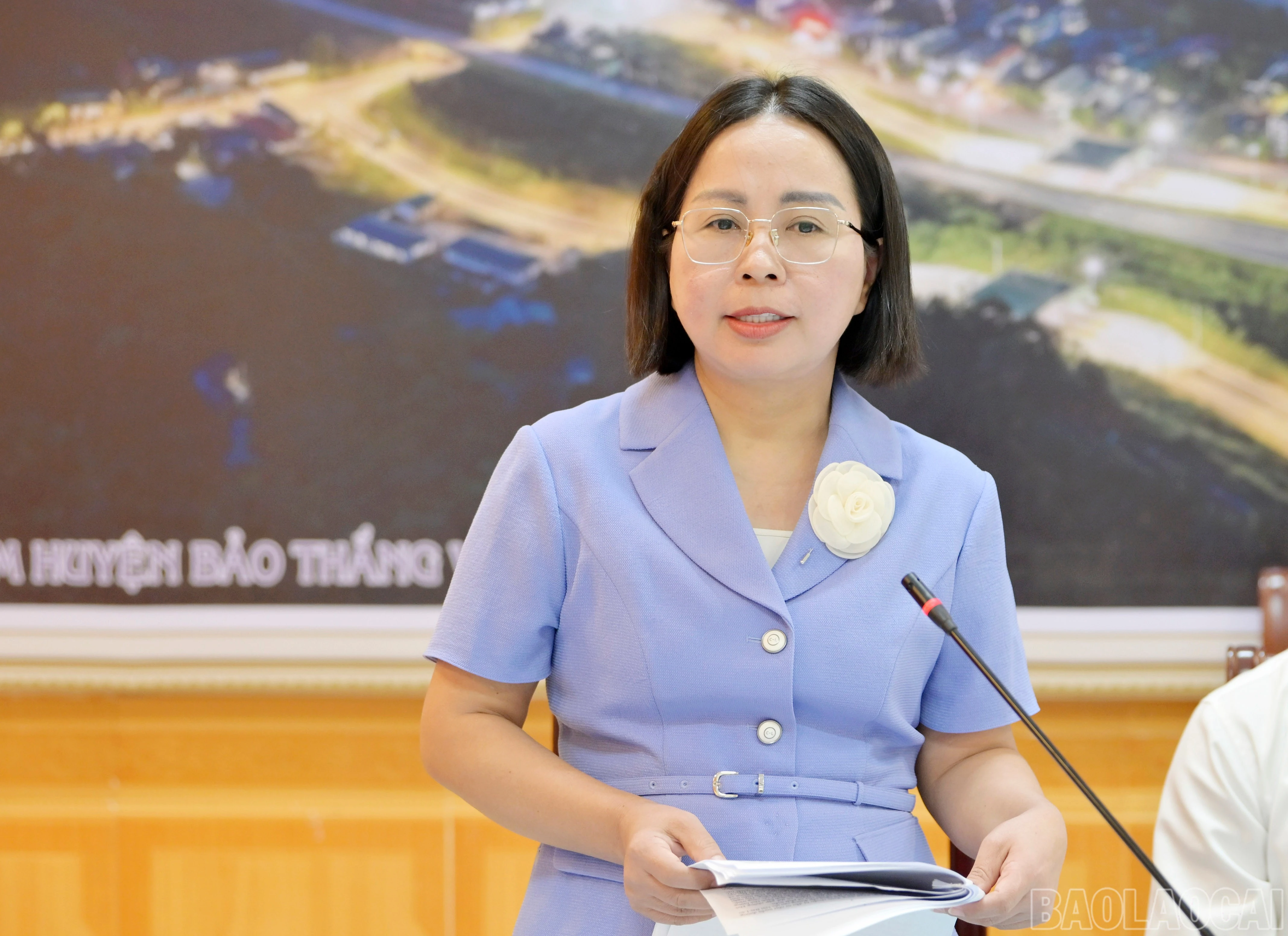 baolaocai-br_113.jpg