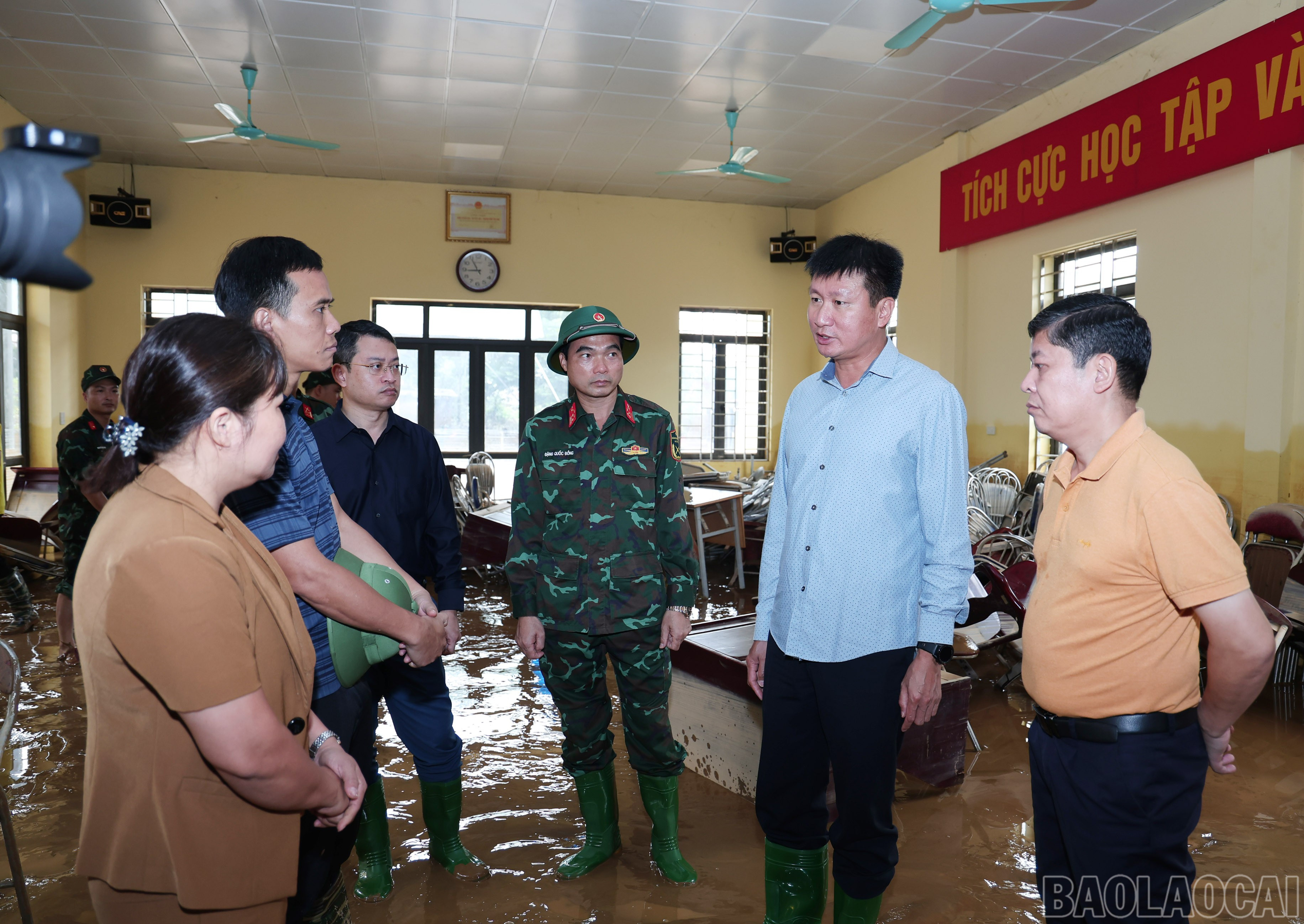 baolaocai-br_img-4058.jpg