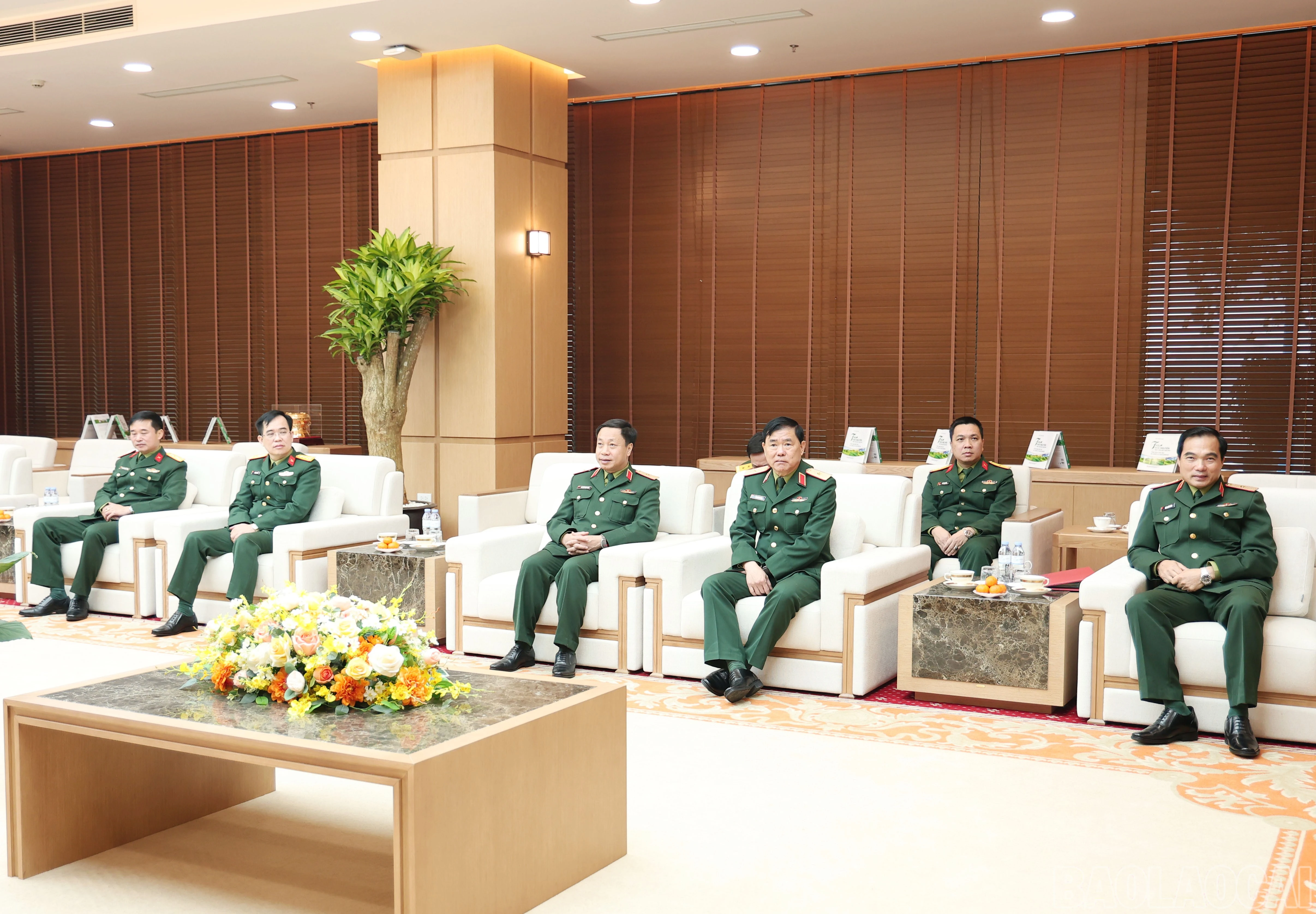 baolaocai-br_img-8817.jpg