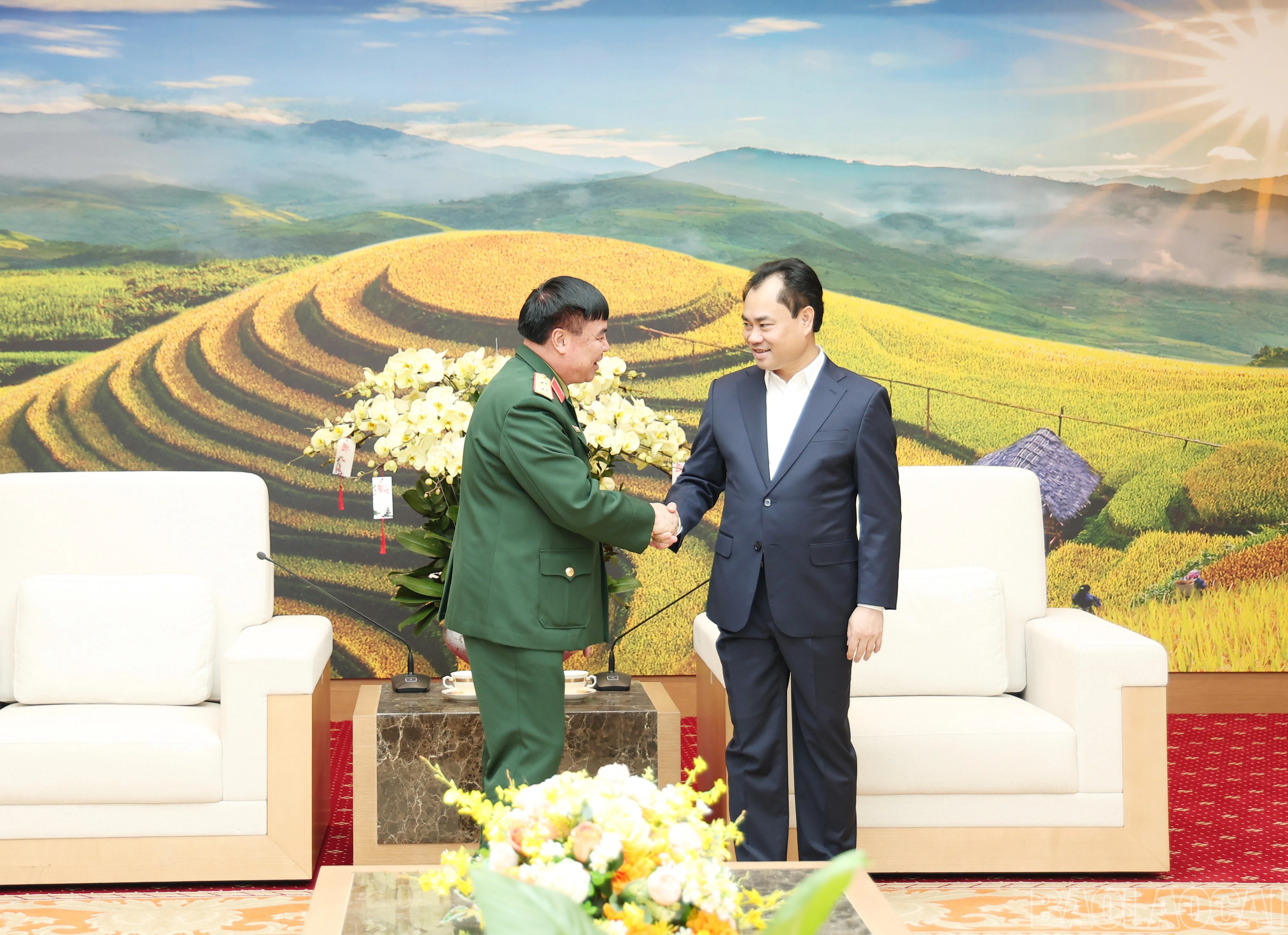 baolaocai-br_img-8917.jpg