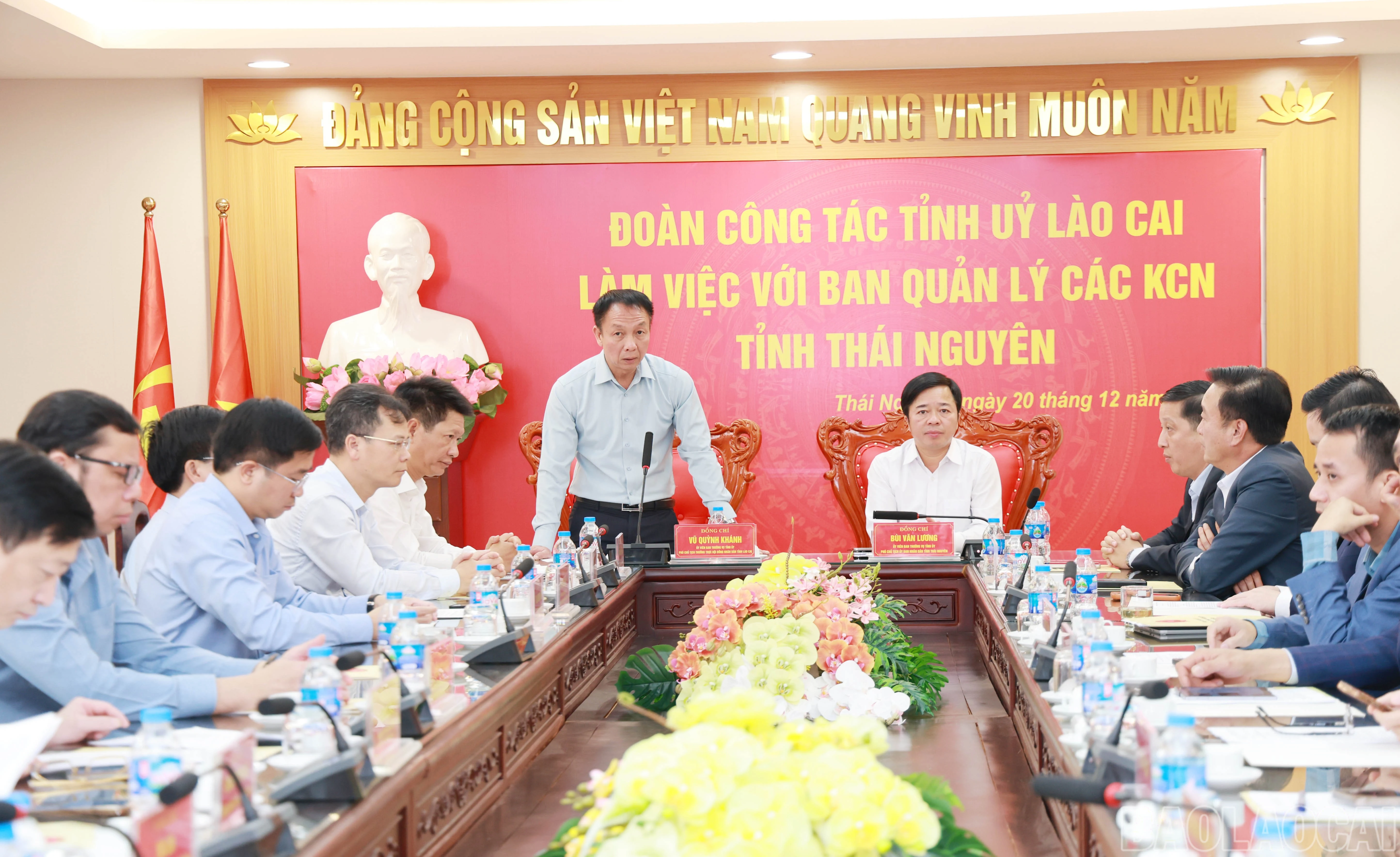 baolaocai-br_9729.jpg