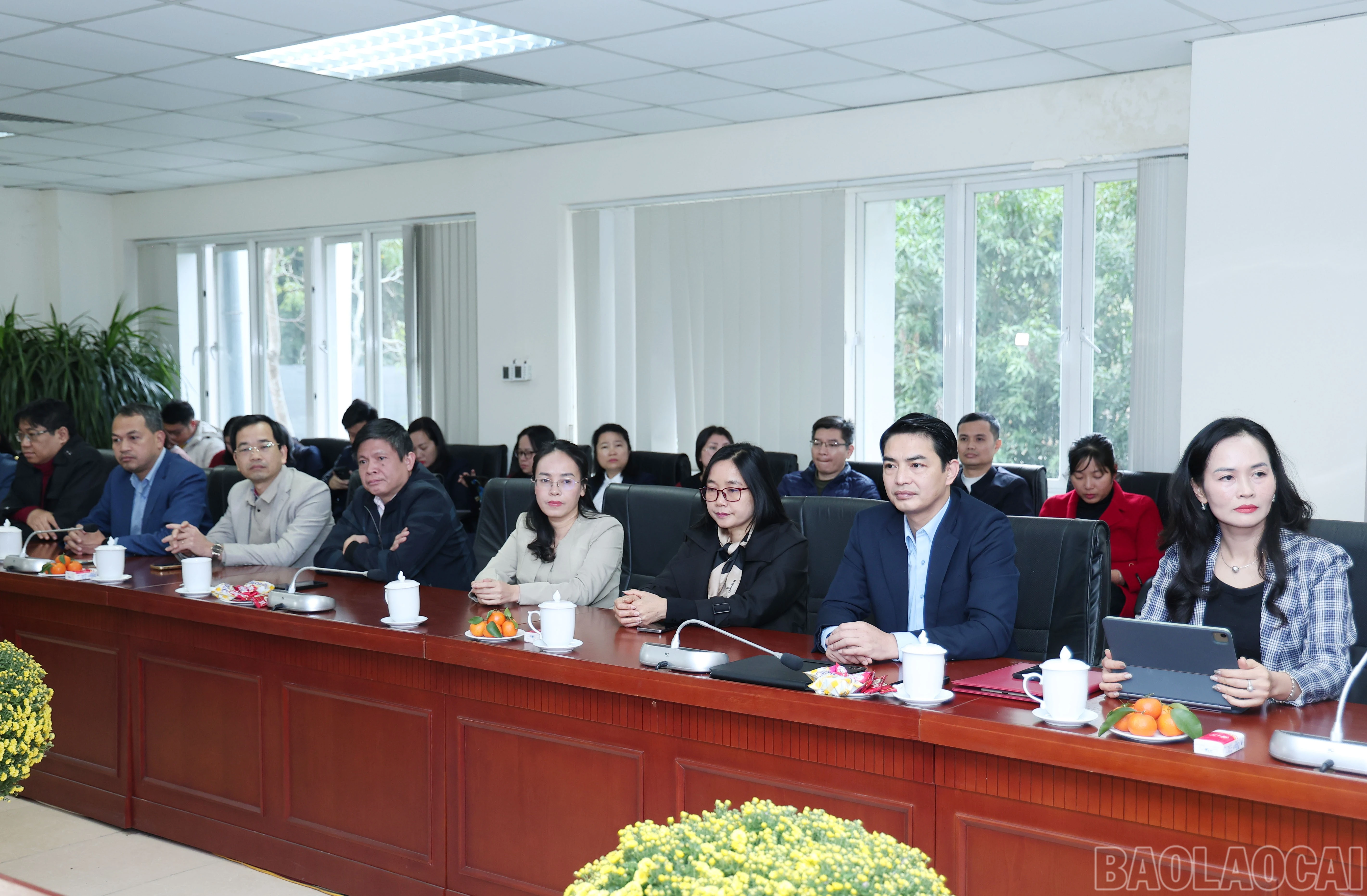 baolaocai-br_img-9900.jpg