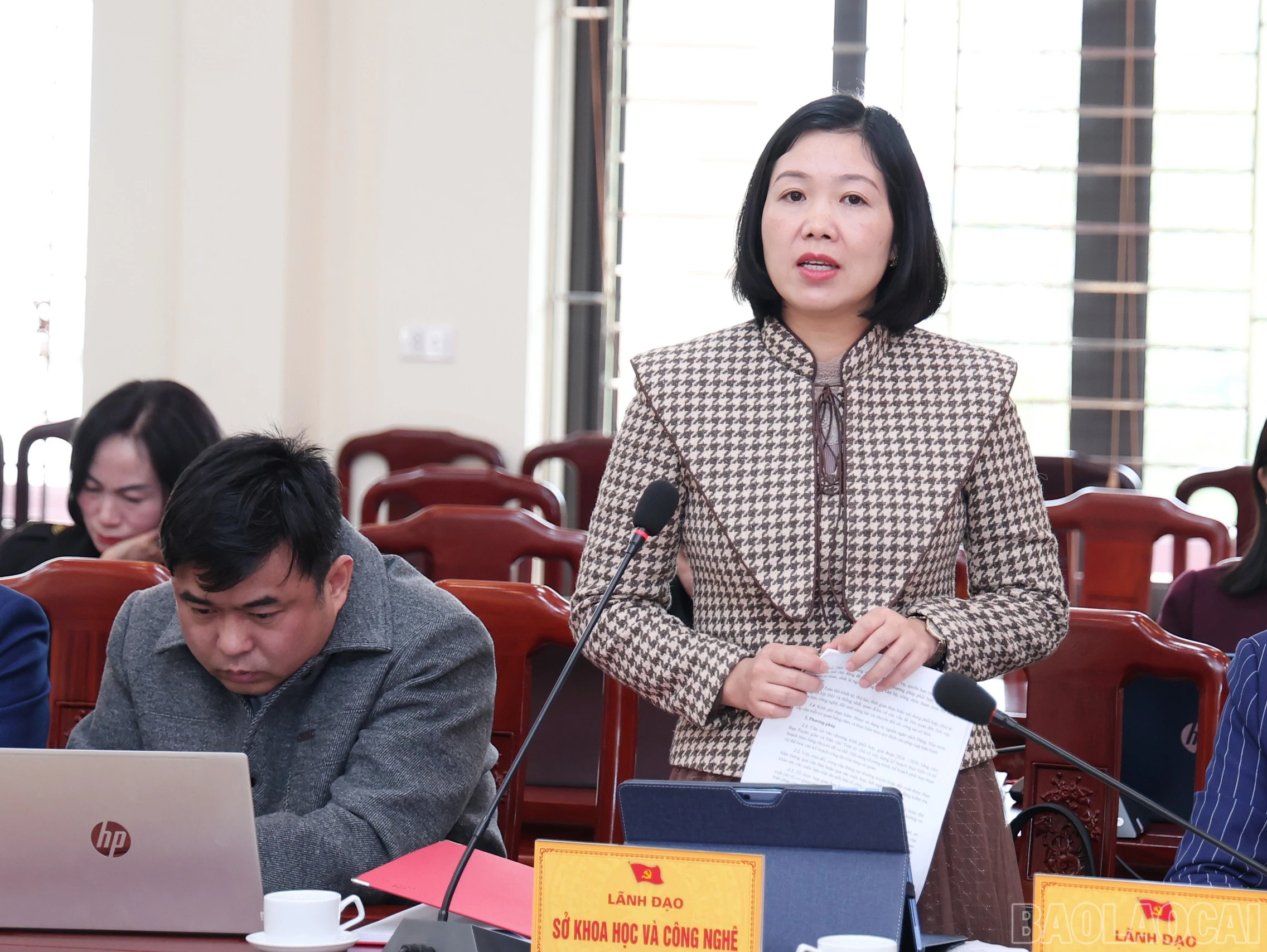 baolaocai-br_img-9048.jpg