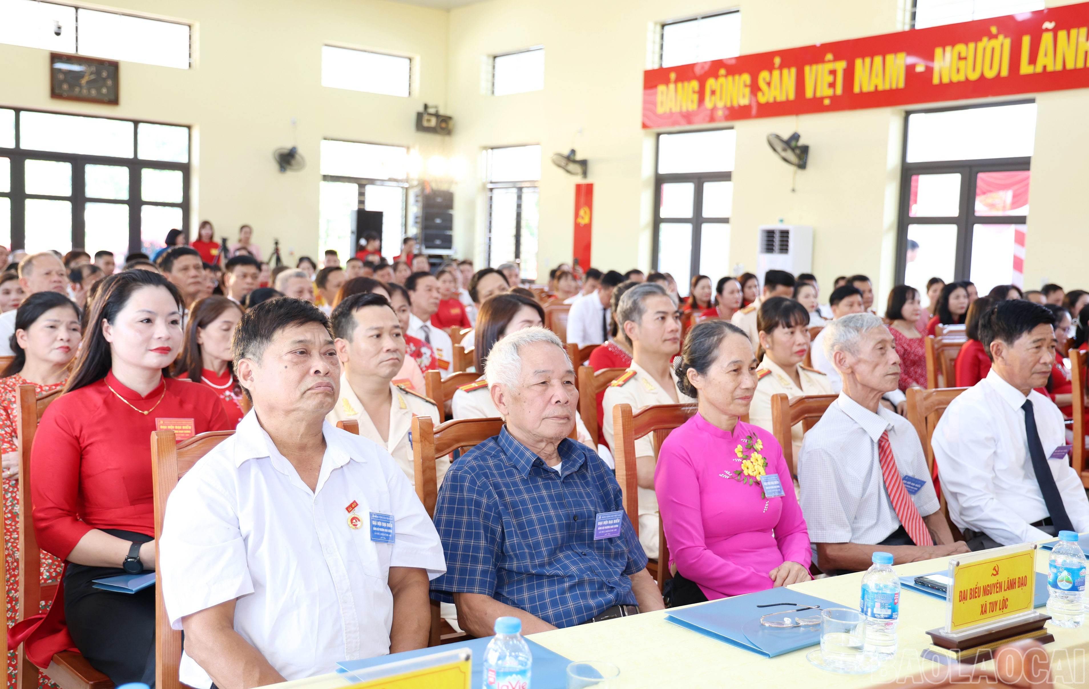 baolaocai-br_img-9015.jpg