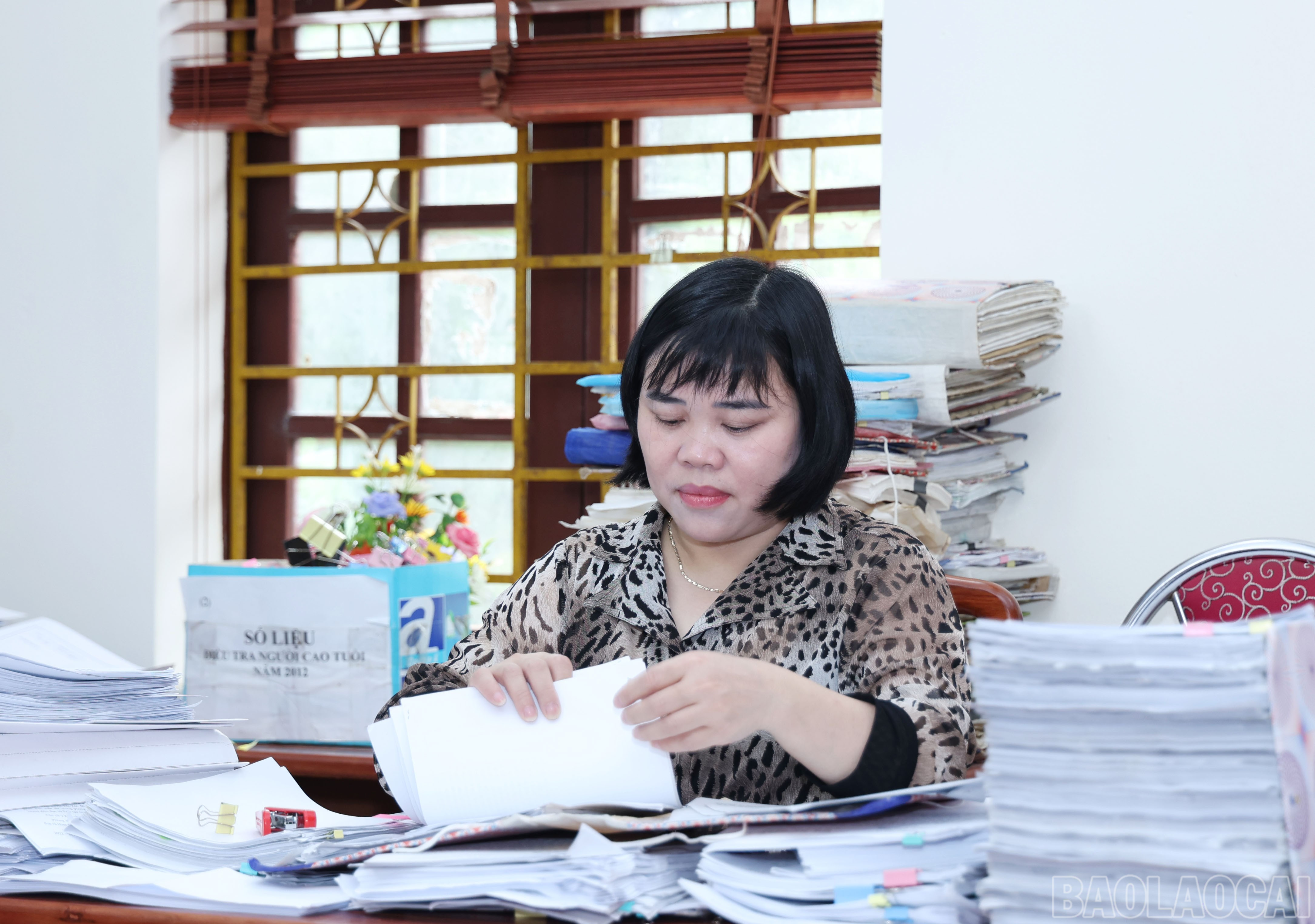 baolaocai-br_4020.jpg