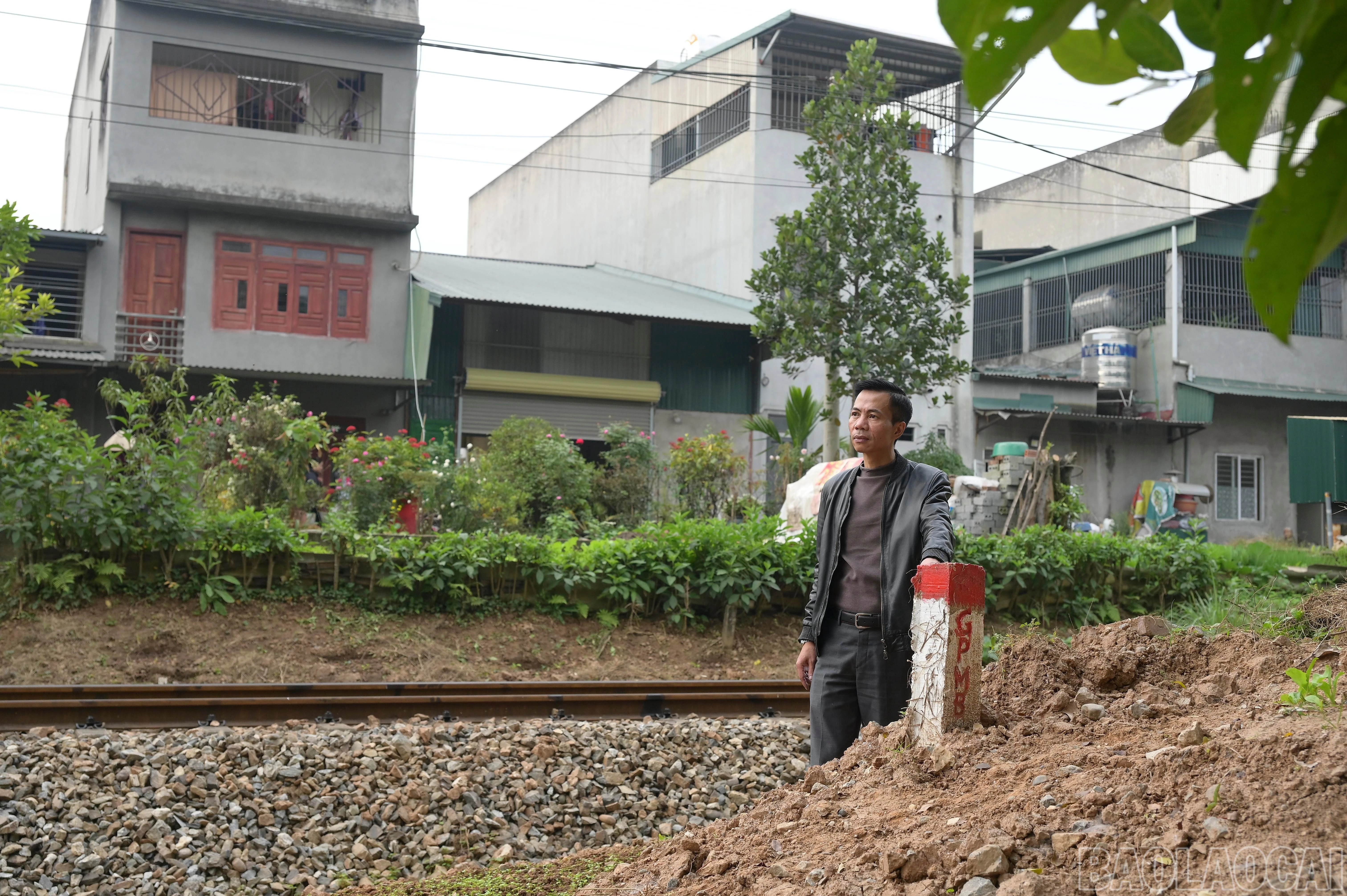 baolaocai-br_hai-1206.jpg