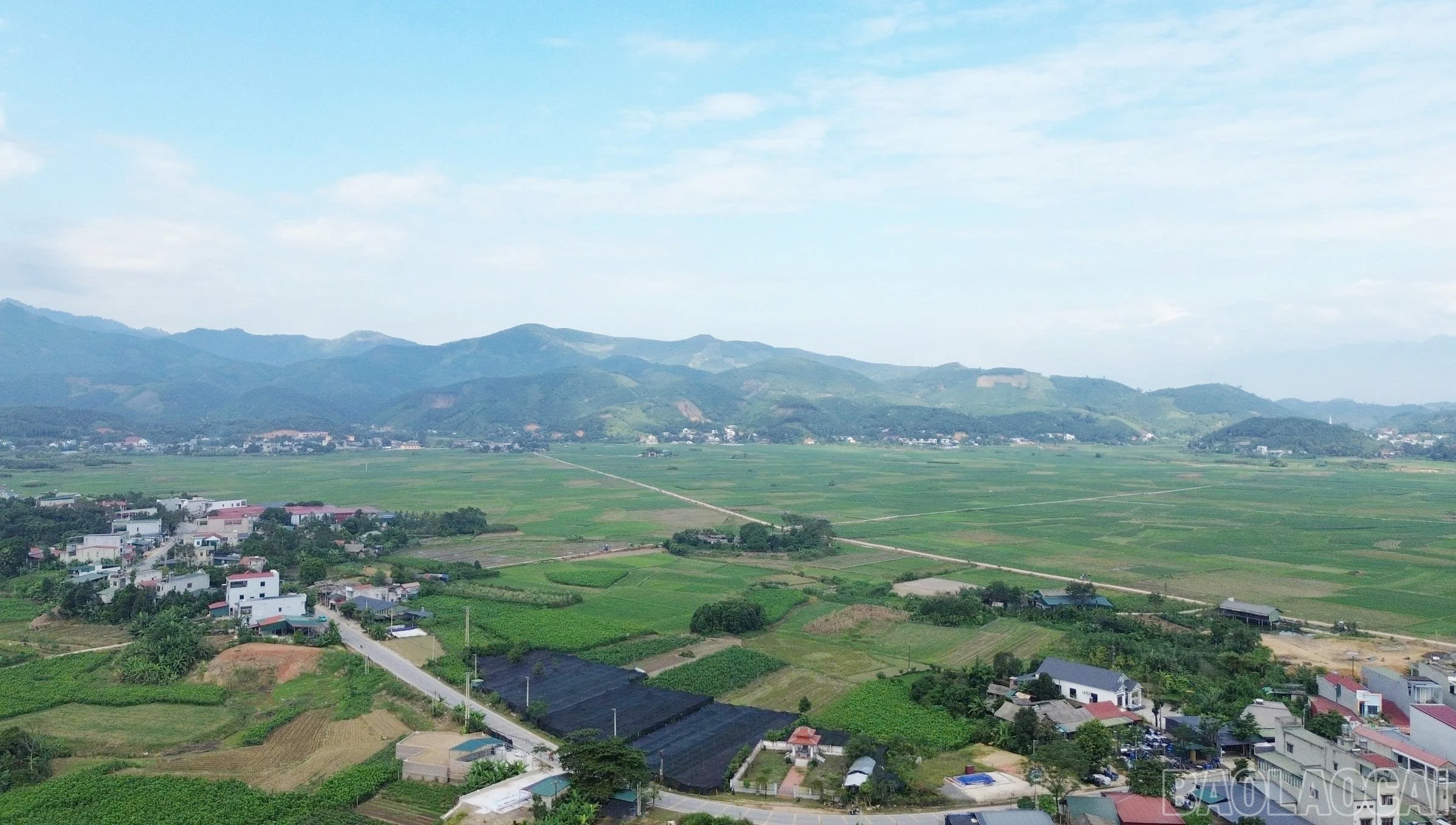 baolaocai-br_33.jpg