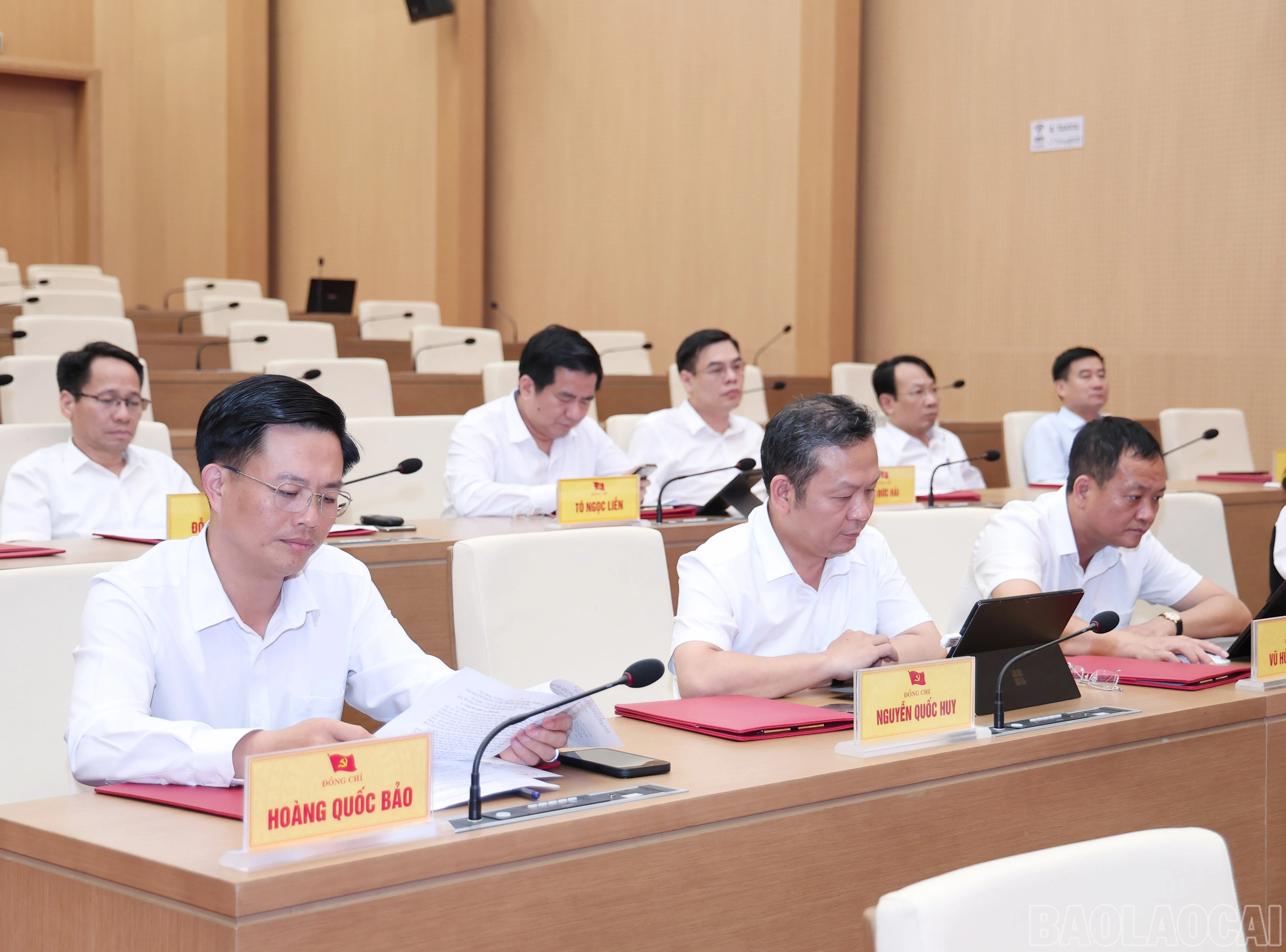 baolaocai-br_img-0922.jpg