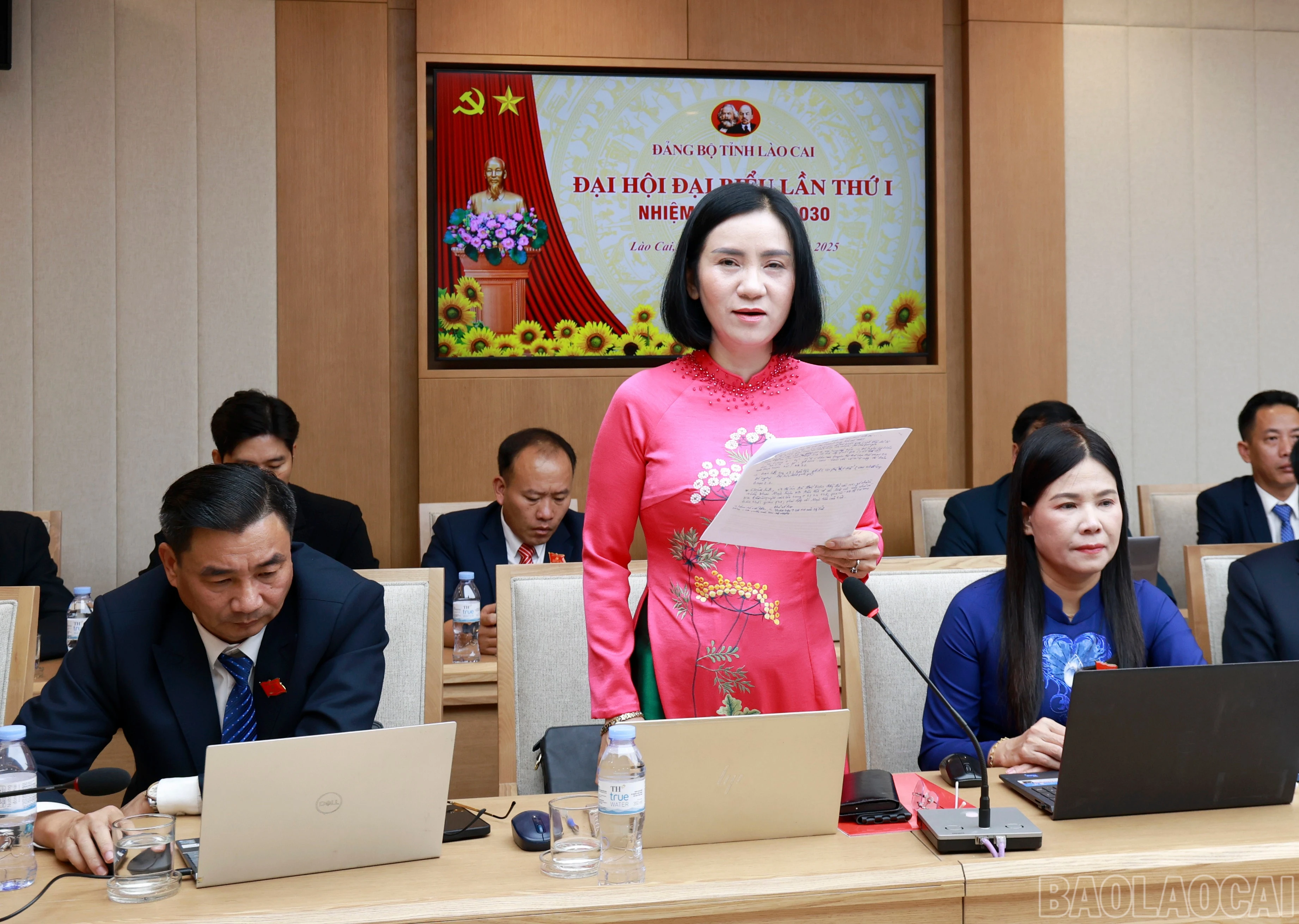 baolaocai-br_le-thi-thanh-binh-pho-bi-thu-chuyen-trach-dang-uy-cac-co-quan-dang-tinh.jpg