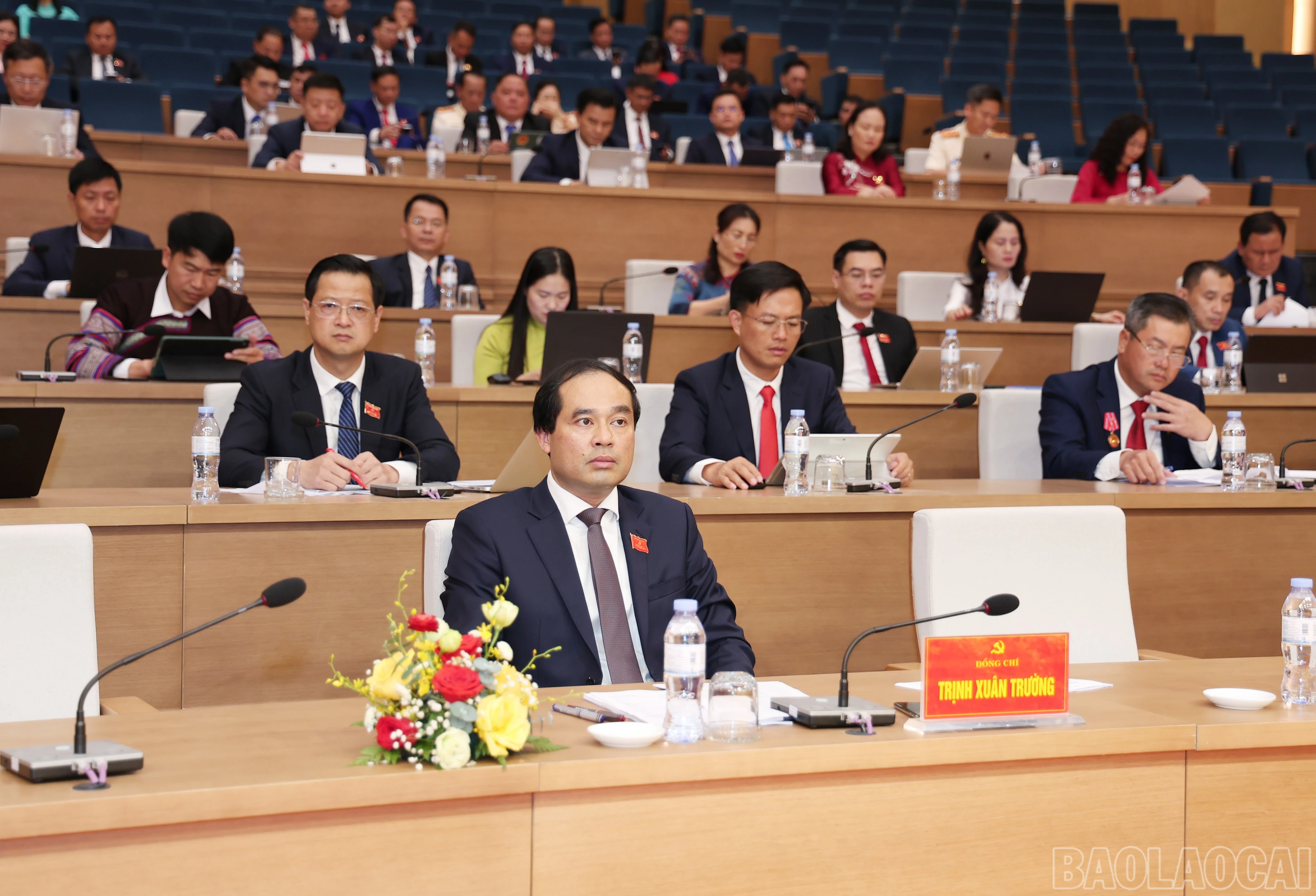 baolaocai-br_img-2963.jpg