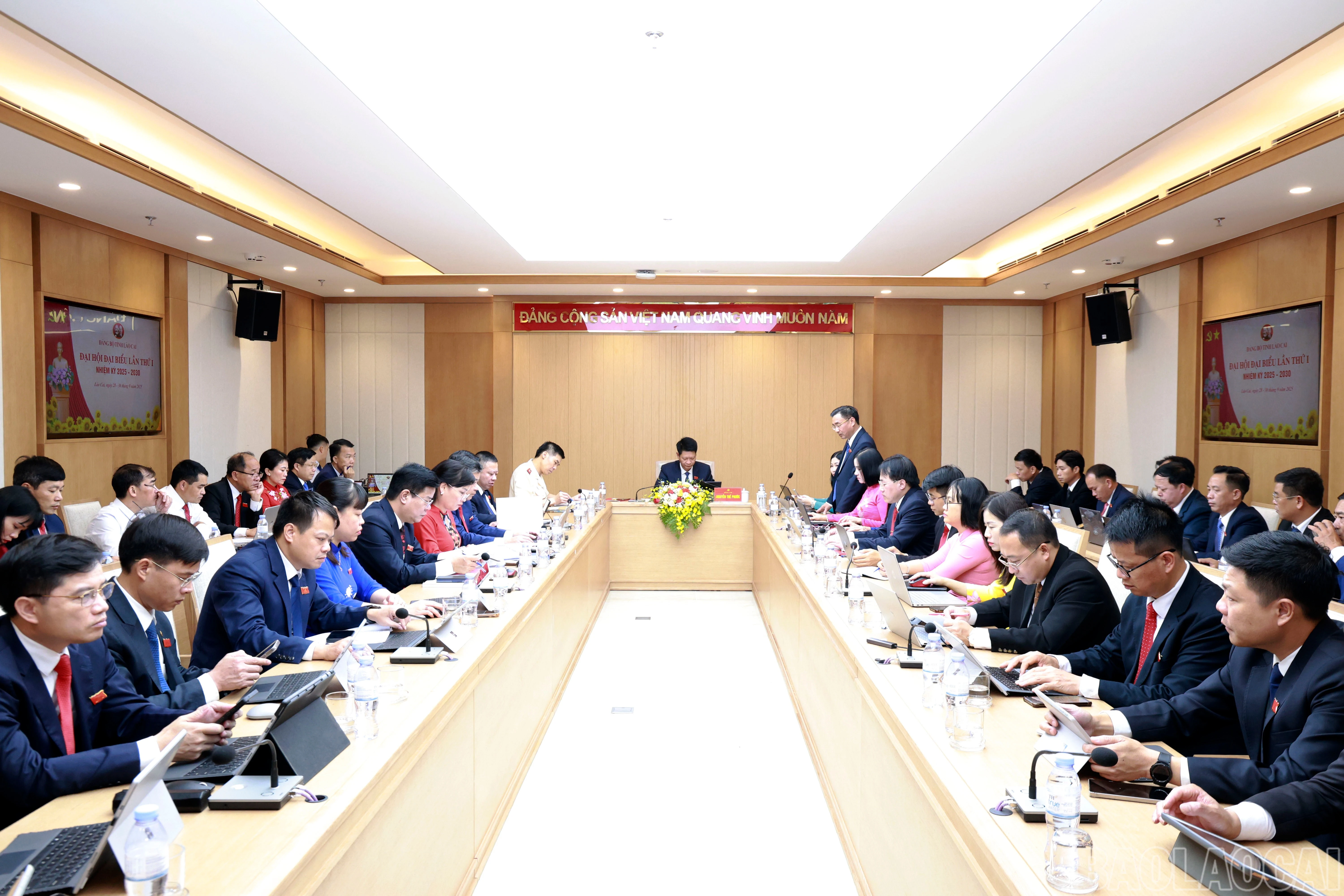 baolaocai-br_quag-canh-to-6.jpg