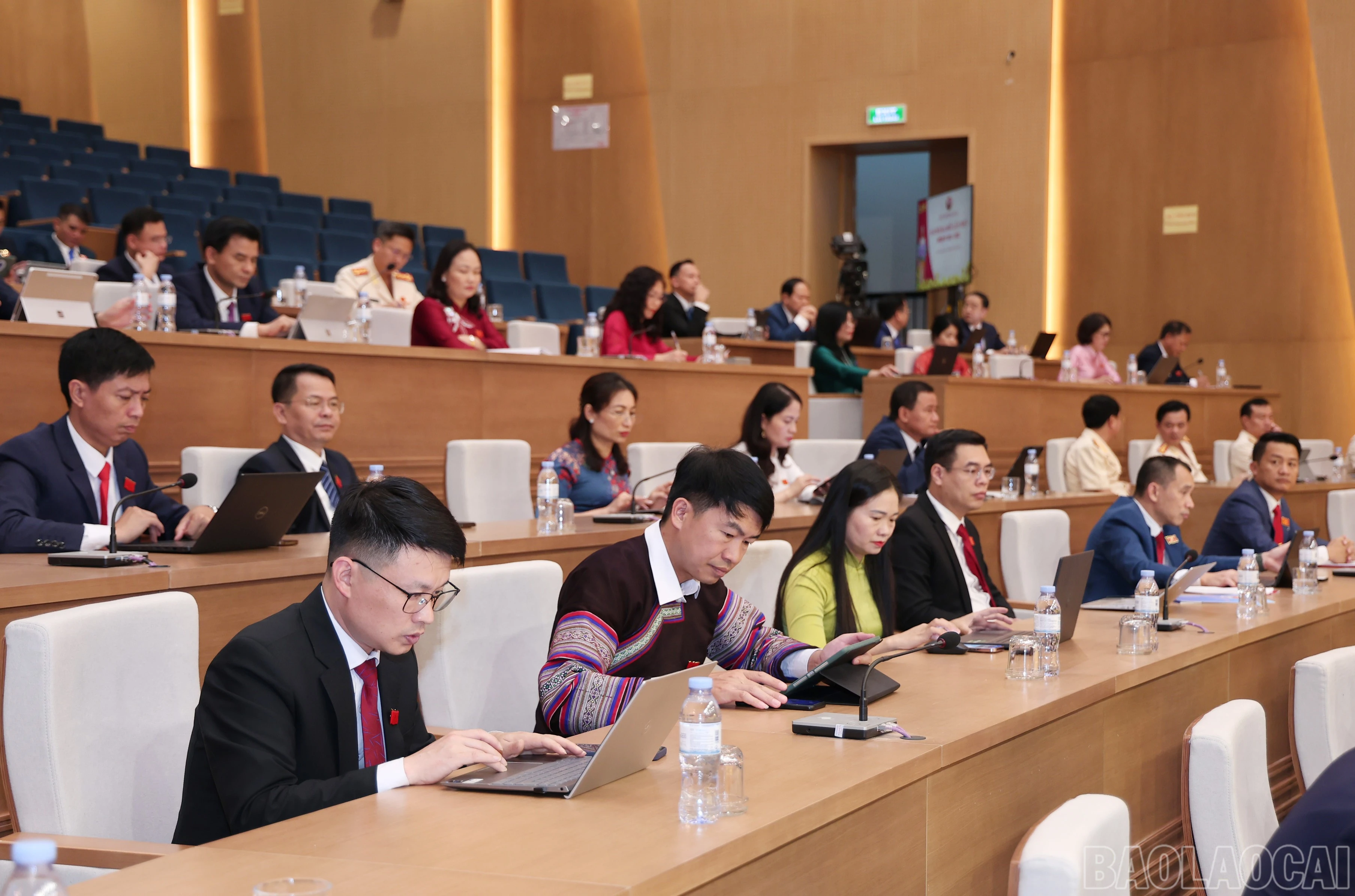 baolaocai-br_img-2976.jpg