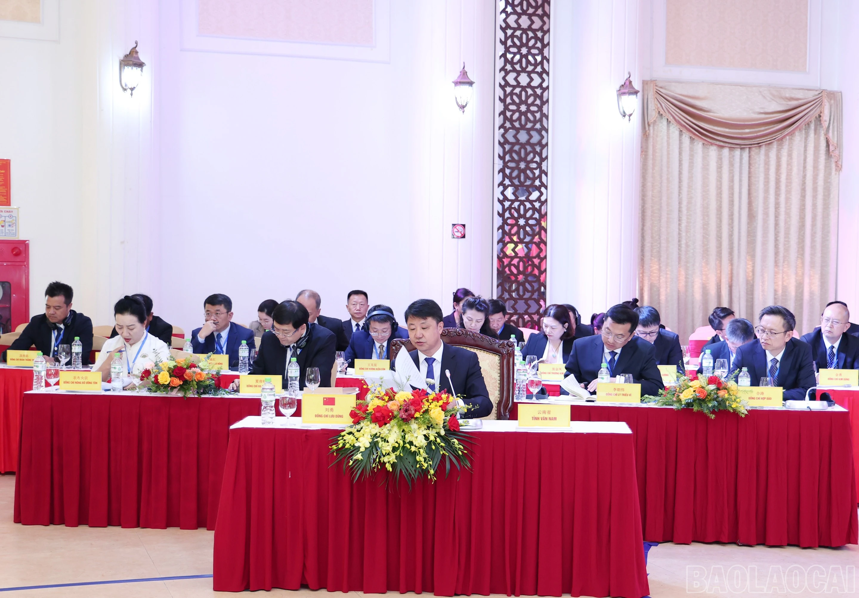 baolaocai-br_img-9192.jpg