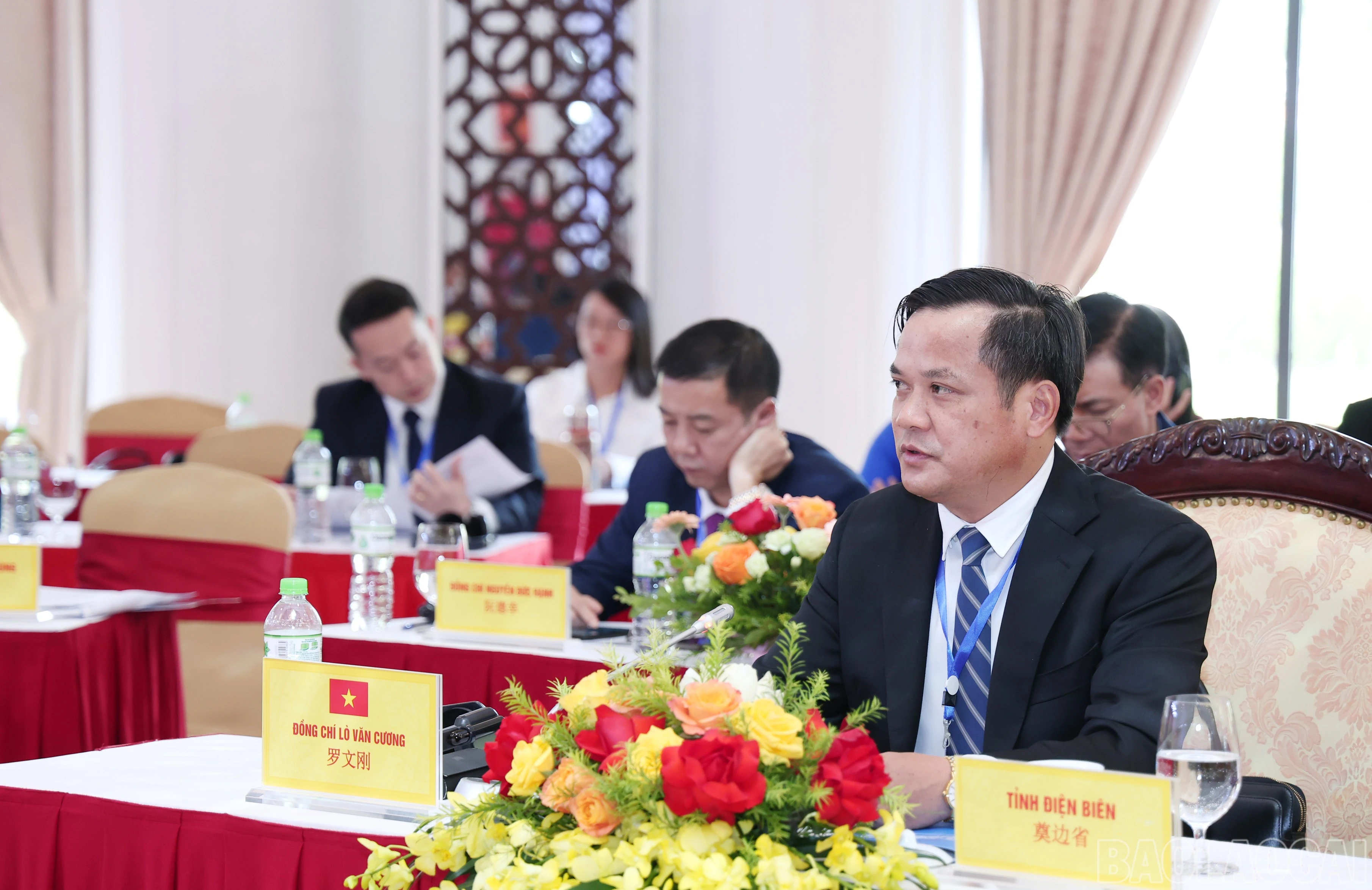 baolaocai-br_img-9222.jpg