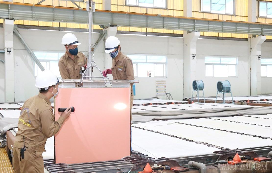 វិស័យផ្សេងទៀត ដូចជាឧស្សាហកម្ម ក៏មានឱកាសថ្មីៗជាច្រើនសម្រាប់ការរីកចម្រើនផងដែរ។ baolaocai-br_12.jpg