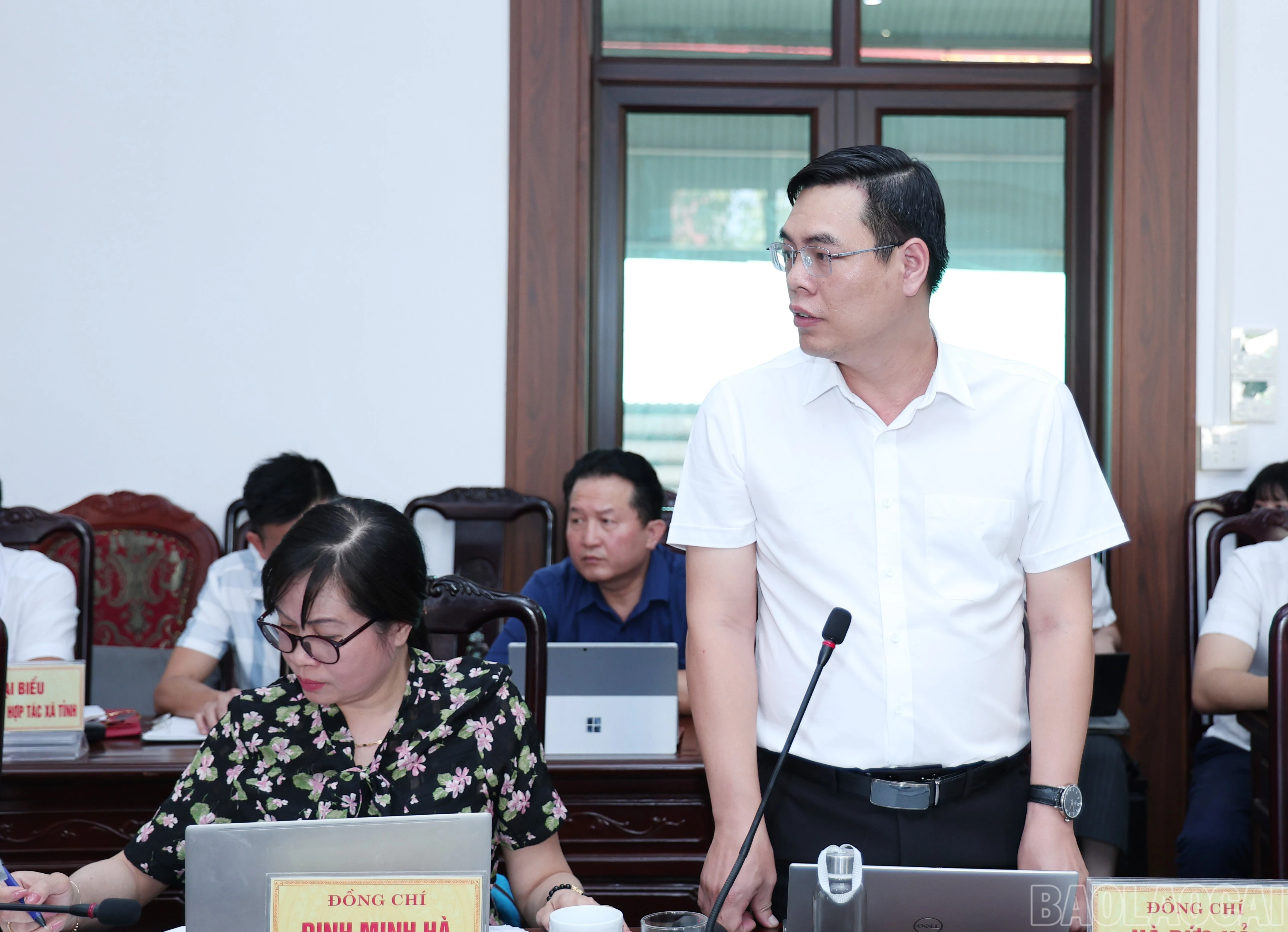 baolaocai-br_img-4966.jpg