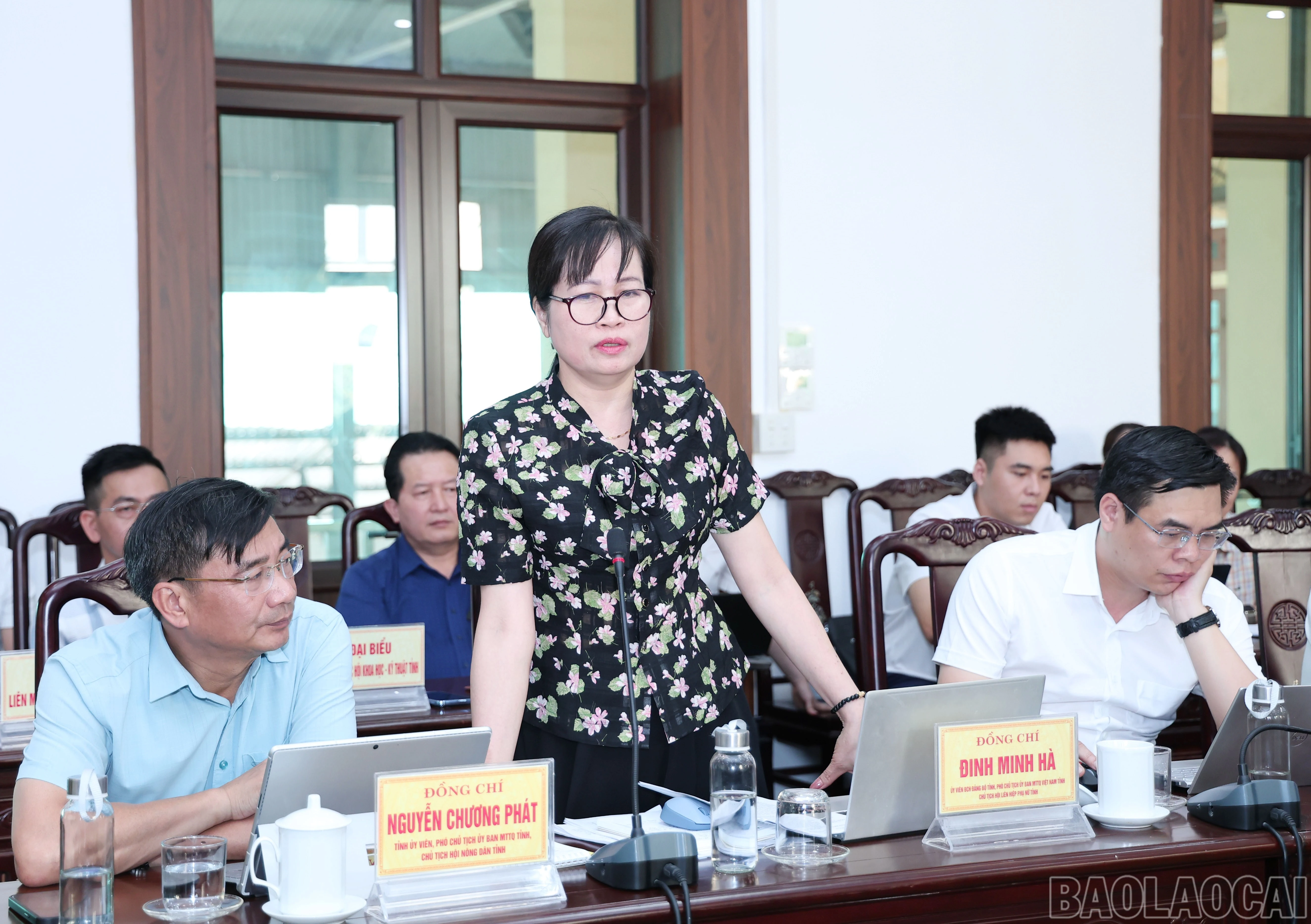baolaocai-br_img-4950.jpg