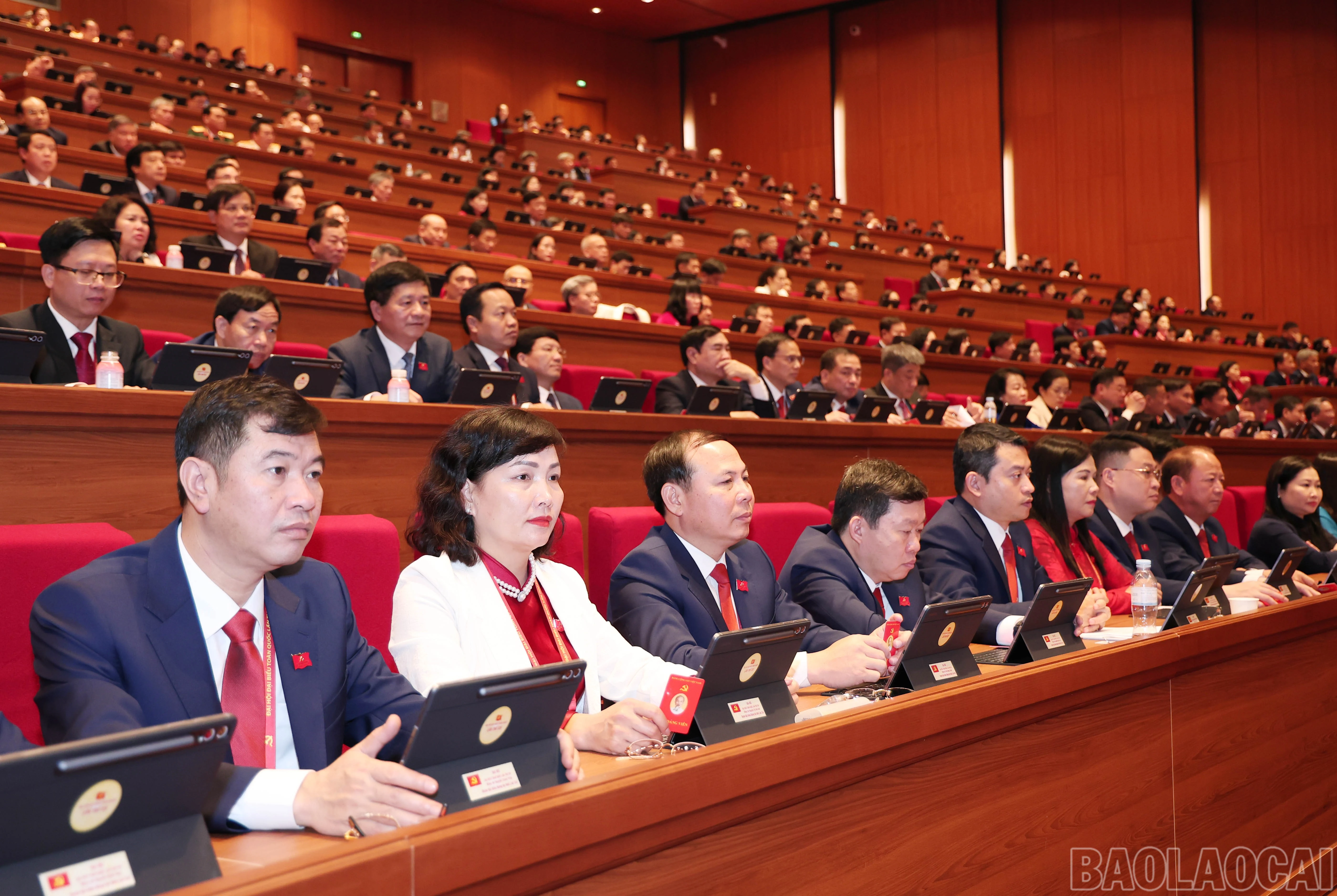 baolaocai-br_img-6702.jpg
