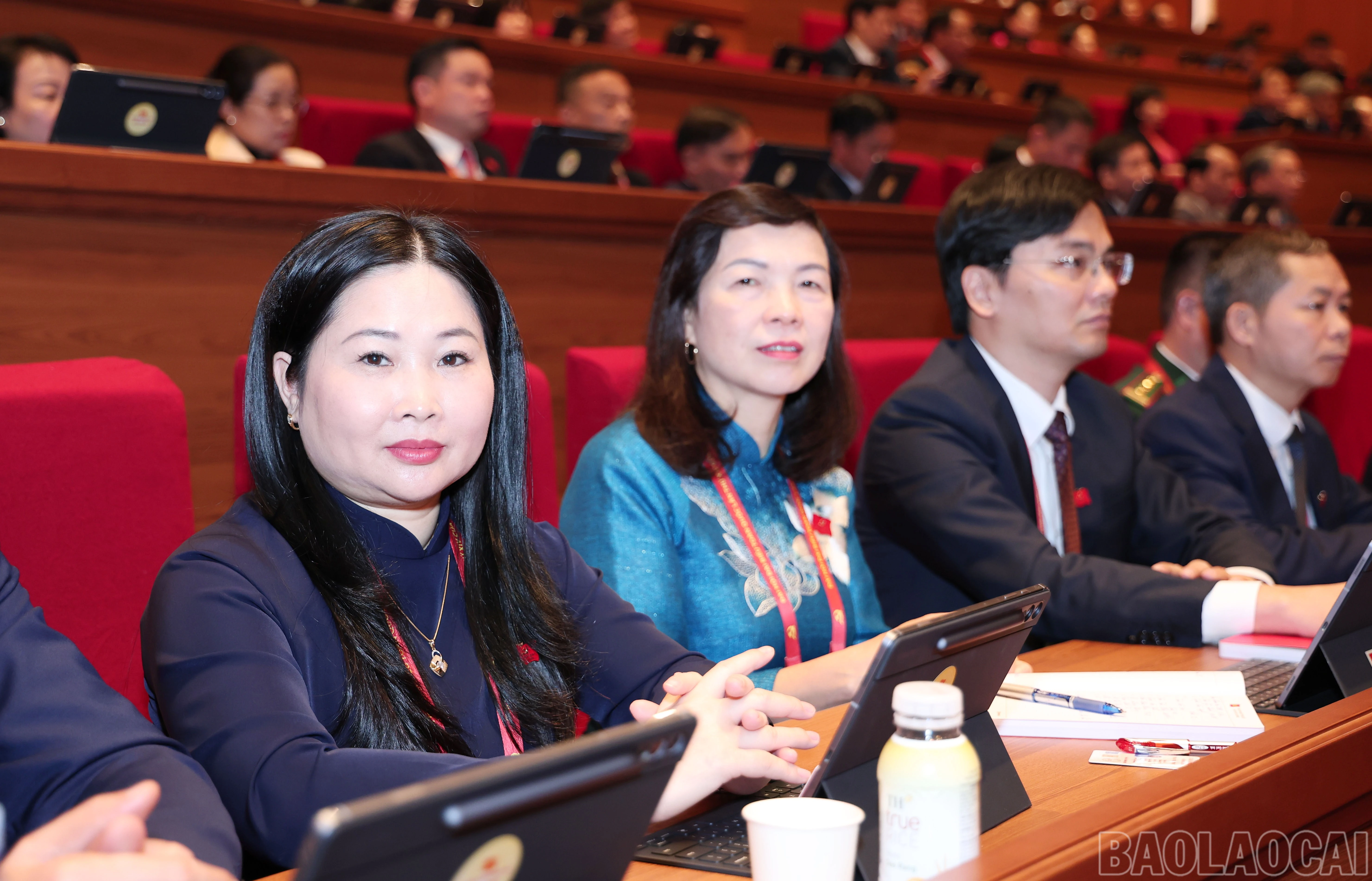 baolaocai-br_img-6823.jpg