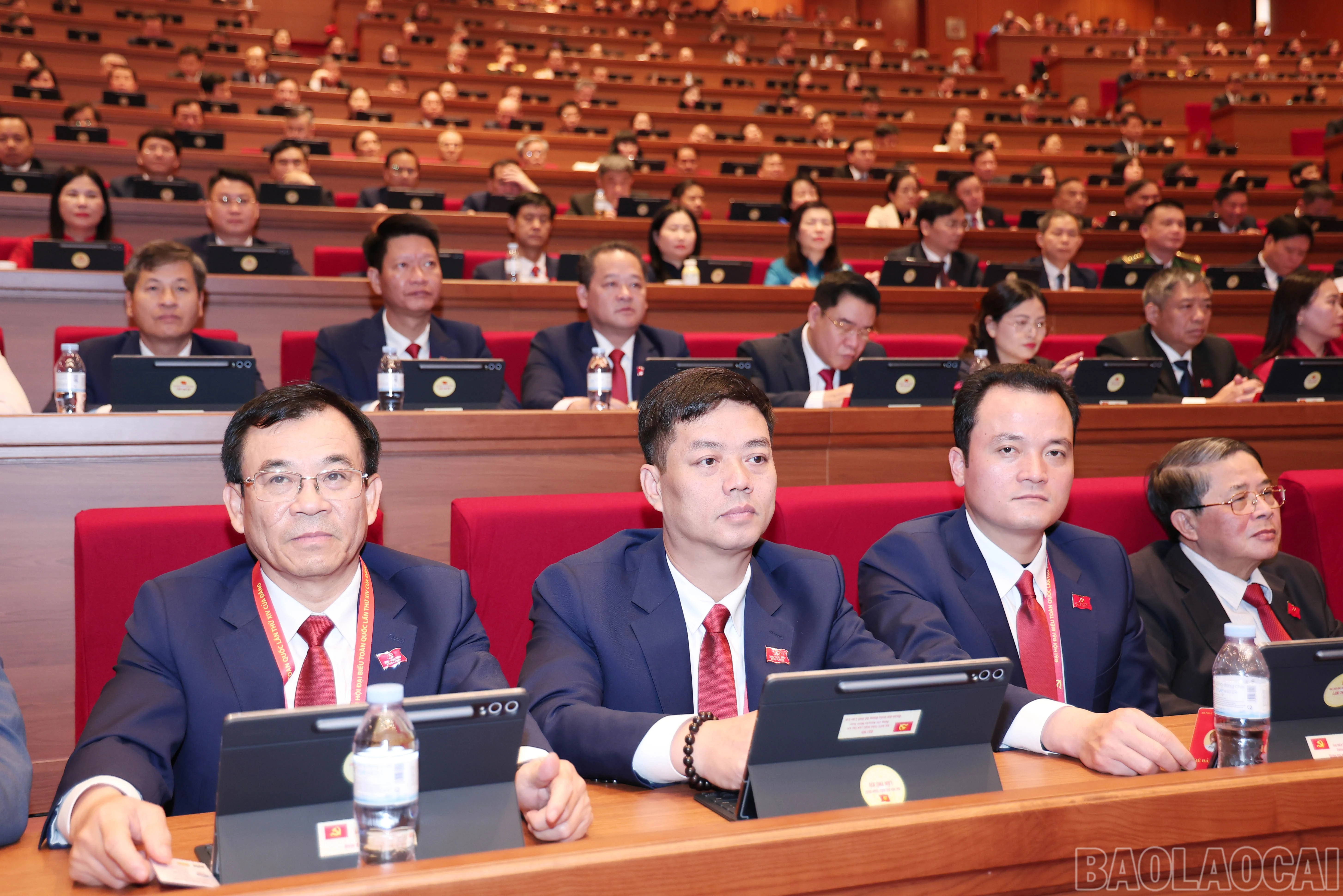 baolaocai-br_img-6654.jpg