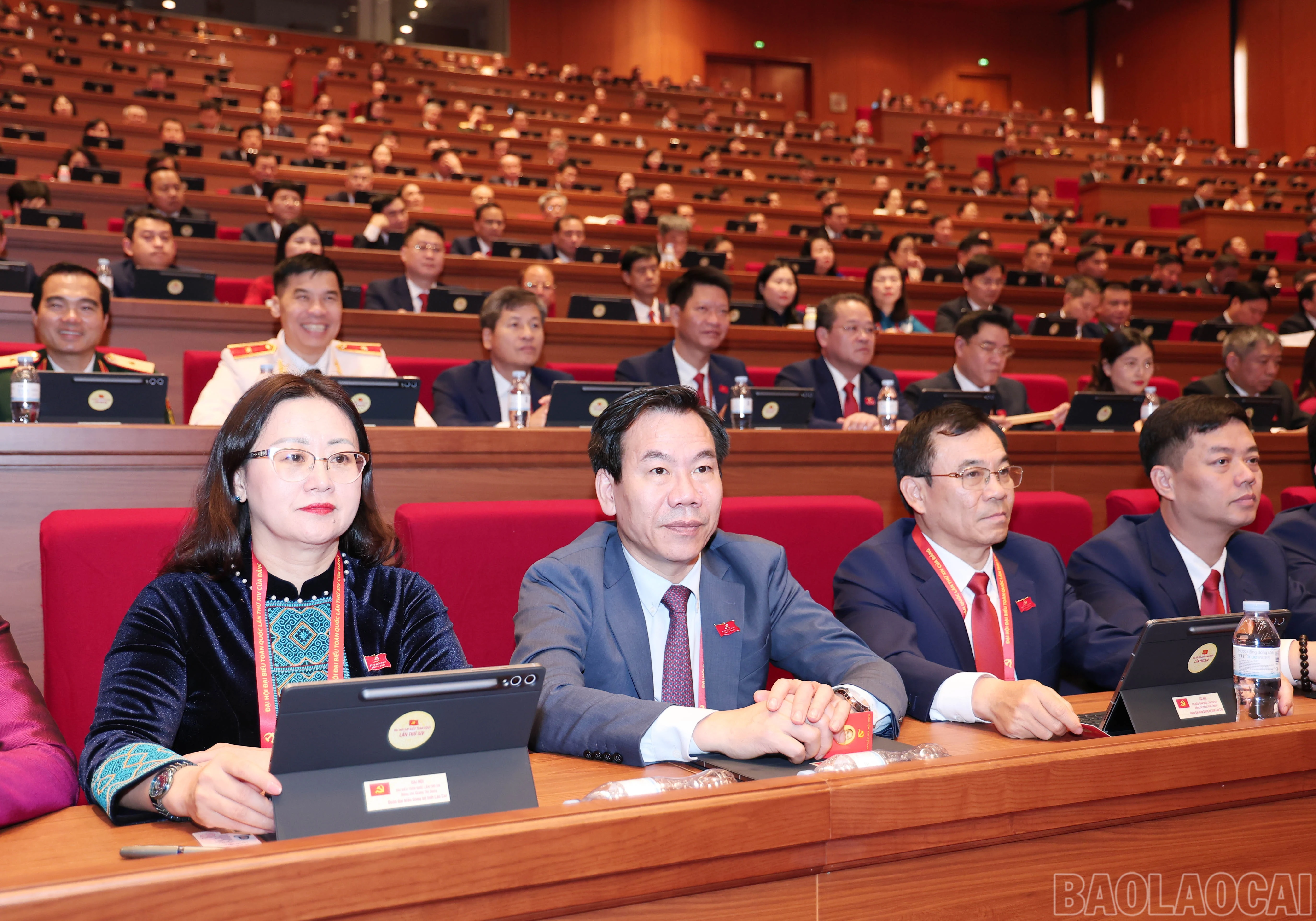 baolaocai-br_img-6650.jpg