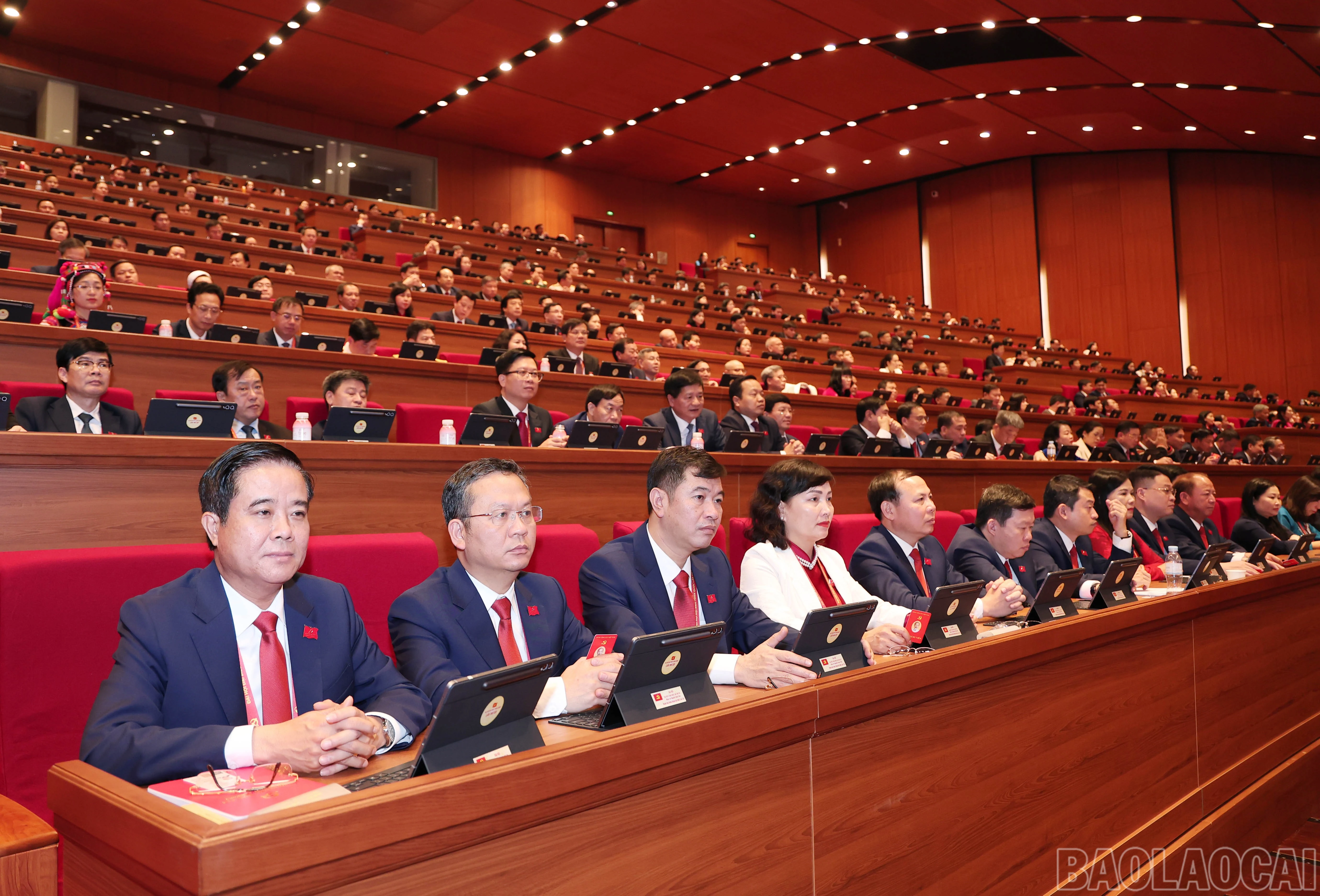 baolaocai-br_img-6693.jpg