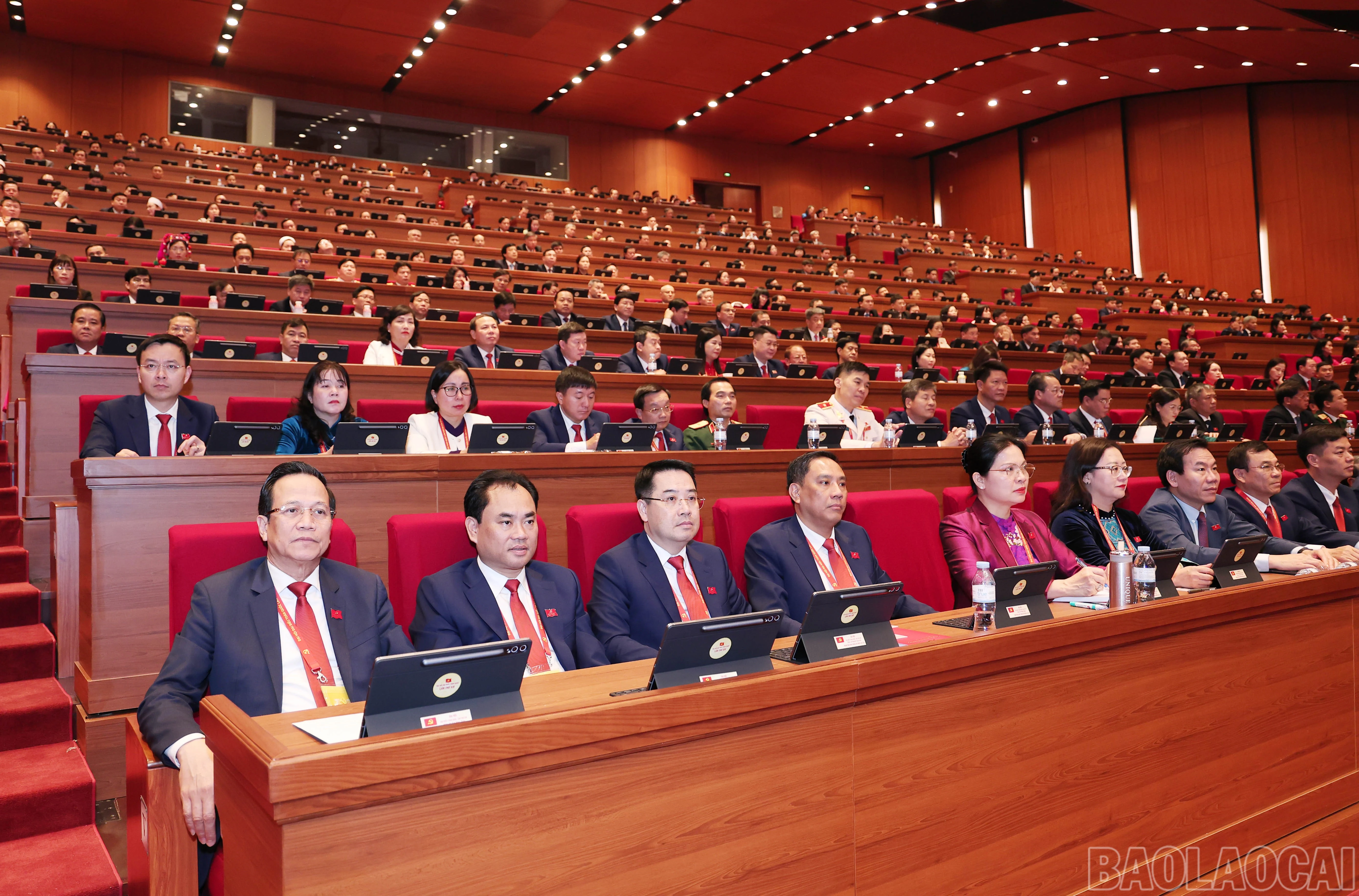 baolaocai-br_img-6586.jpg