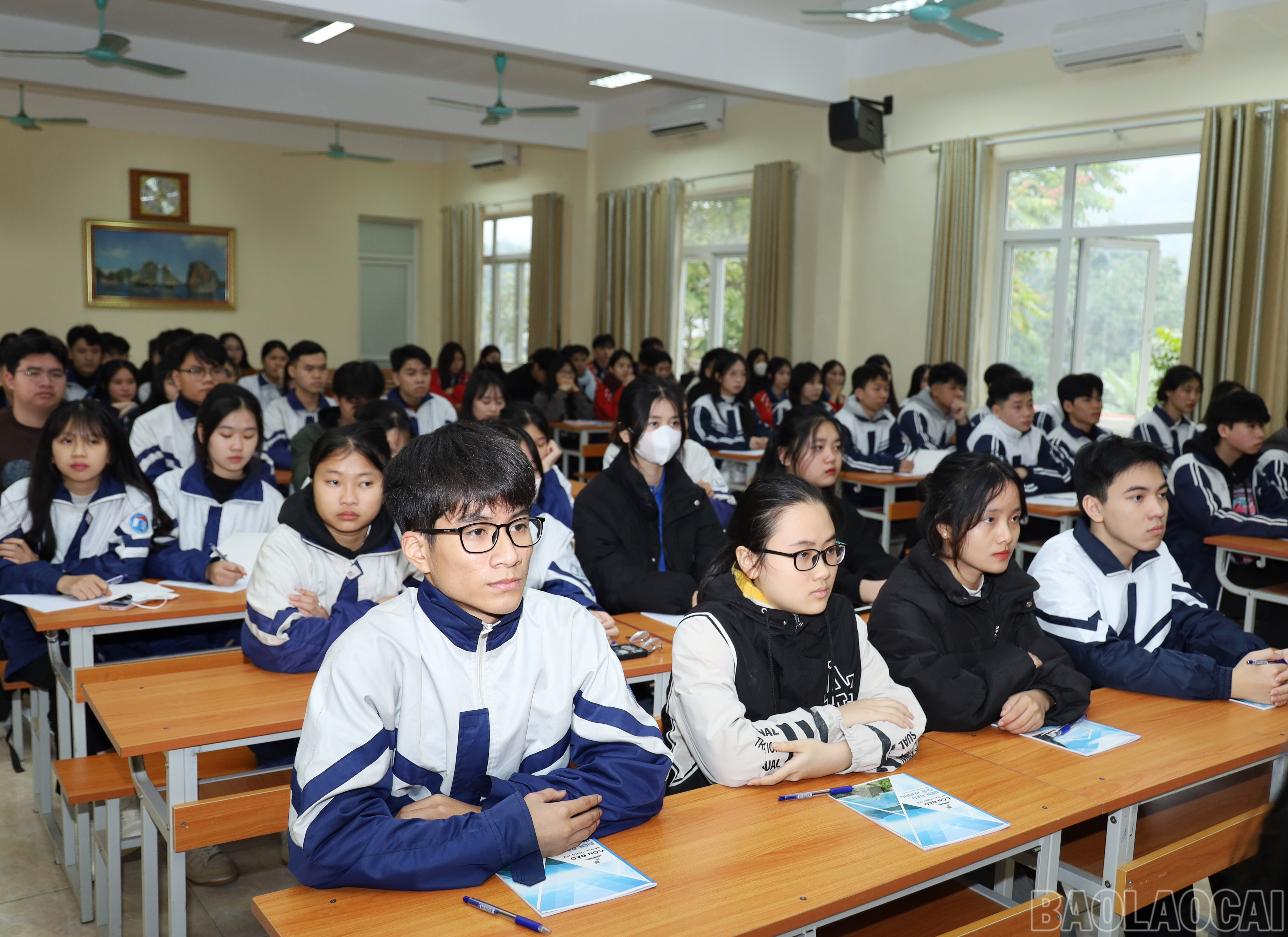baolaocai-br_7745.jpg