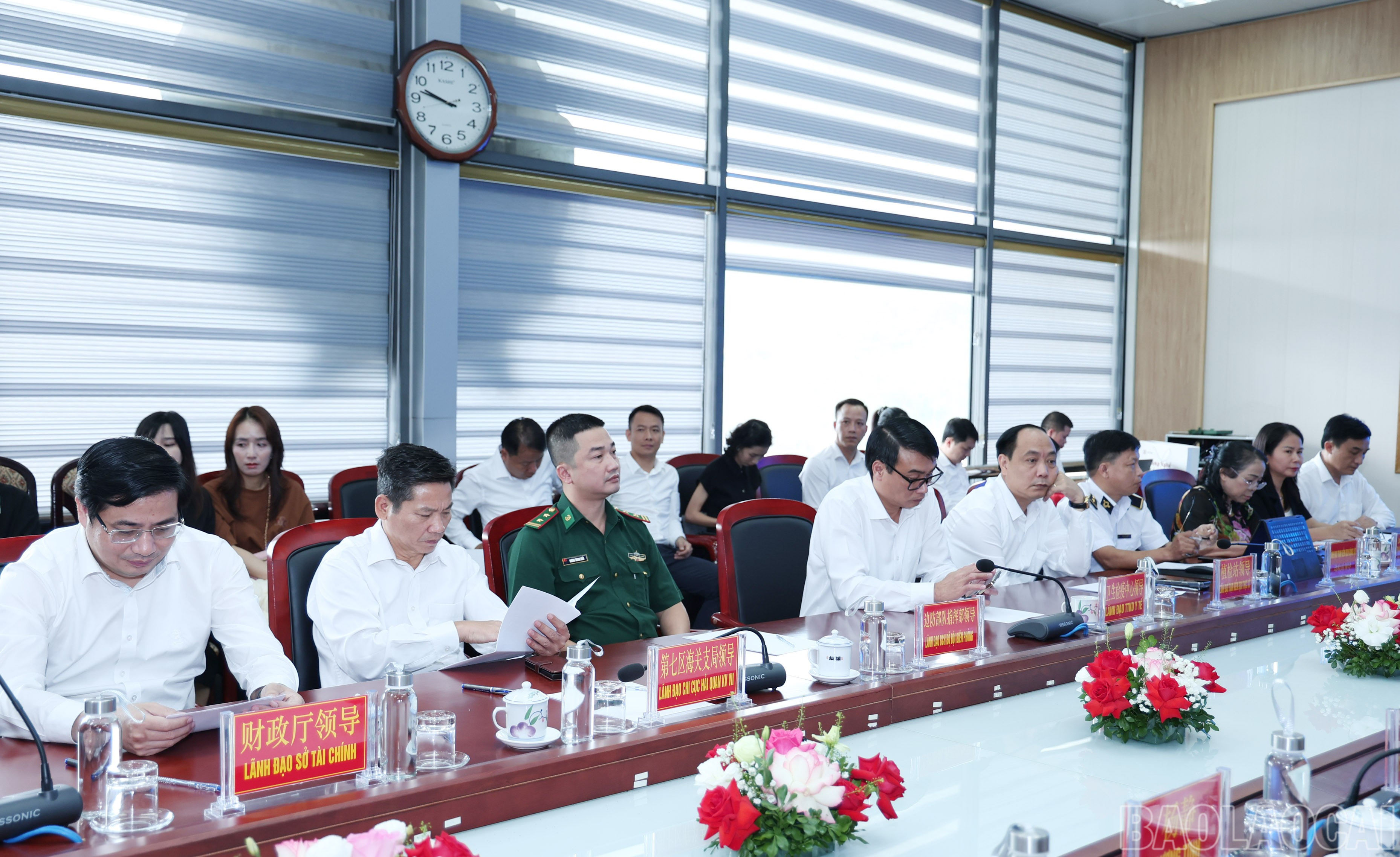 baolaocai-br_img-9797.jpg