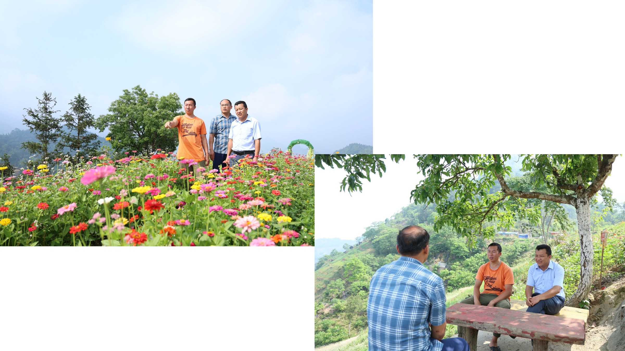Từ đồi trồng ngô và cỏ dại, đảng viên trẻ Cư Seo Giả (áo cam) đã cải tạo trở thành đồi hoa để phát triển du lịch. loi-bac-day-12.jpg