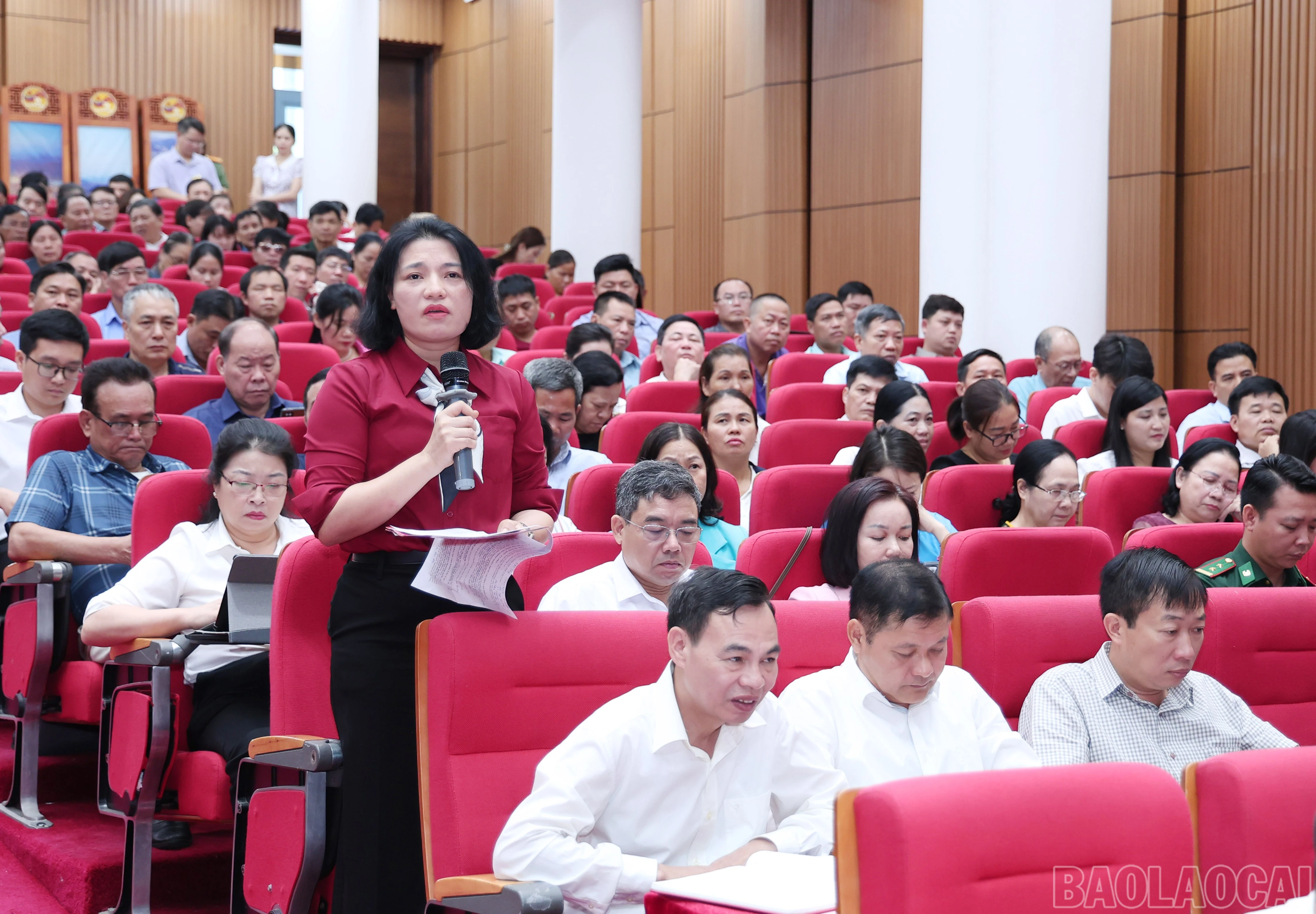 baolaocai-br_img-3114.jpg