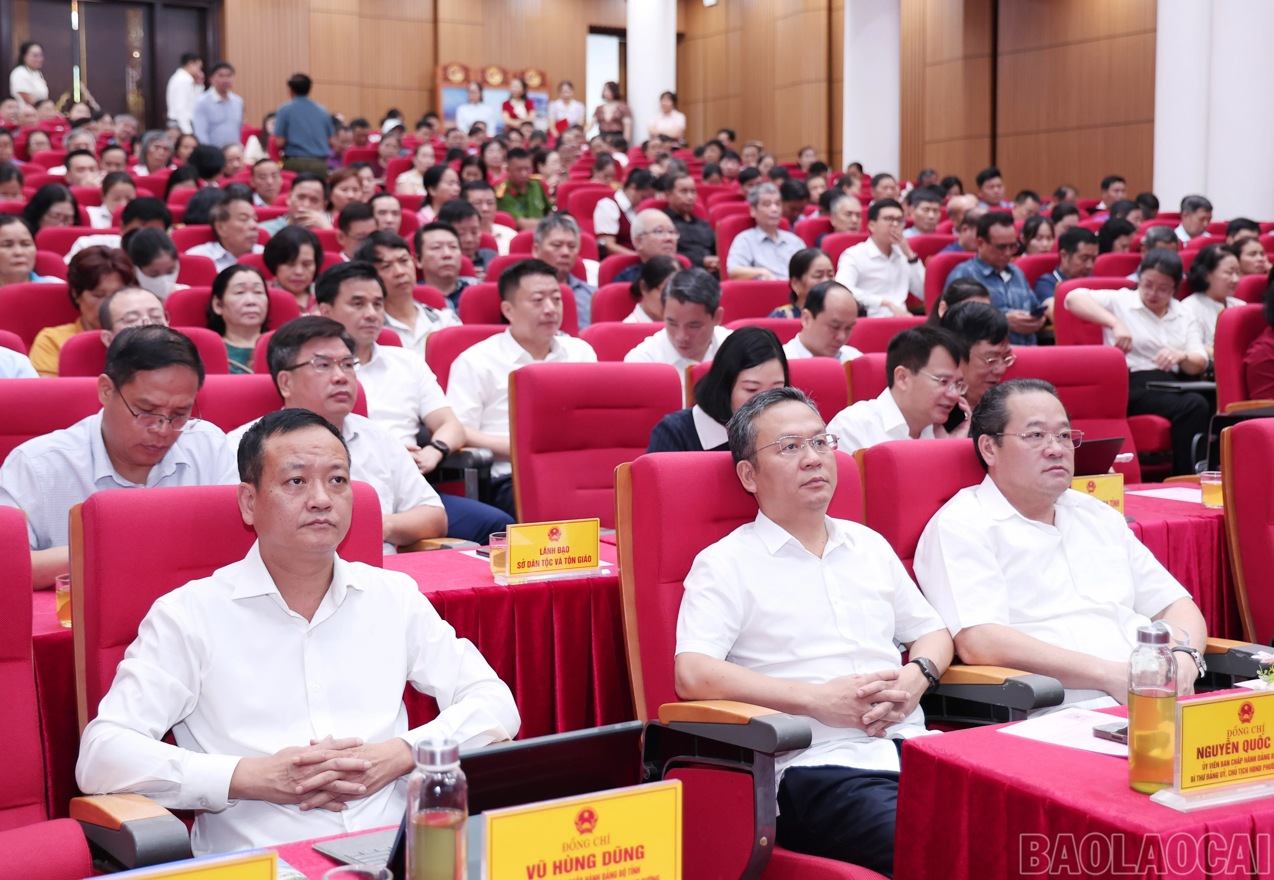 baolaocai-br_img-2985.jpg