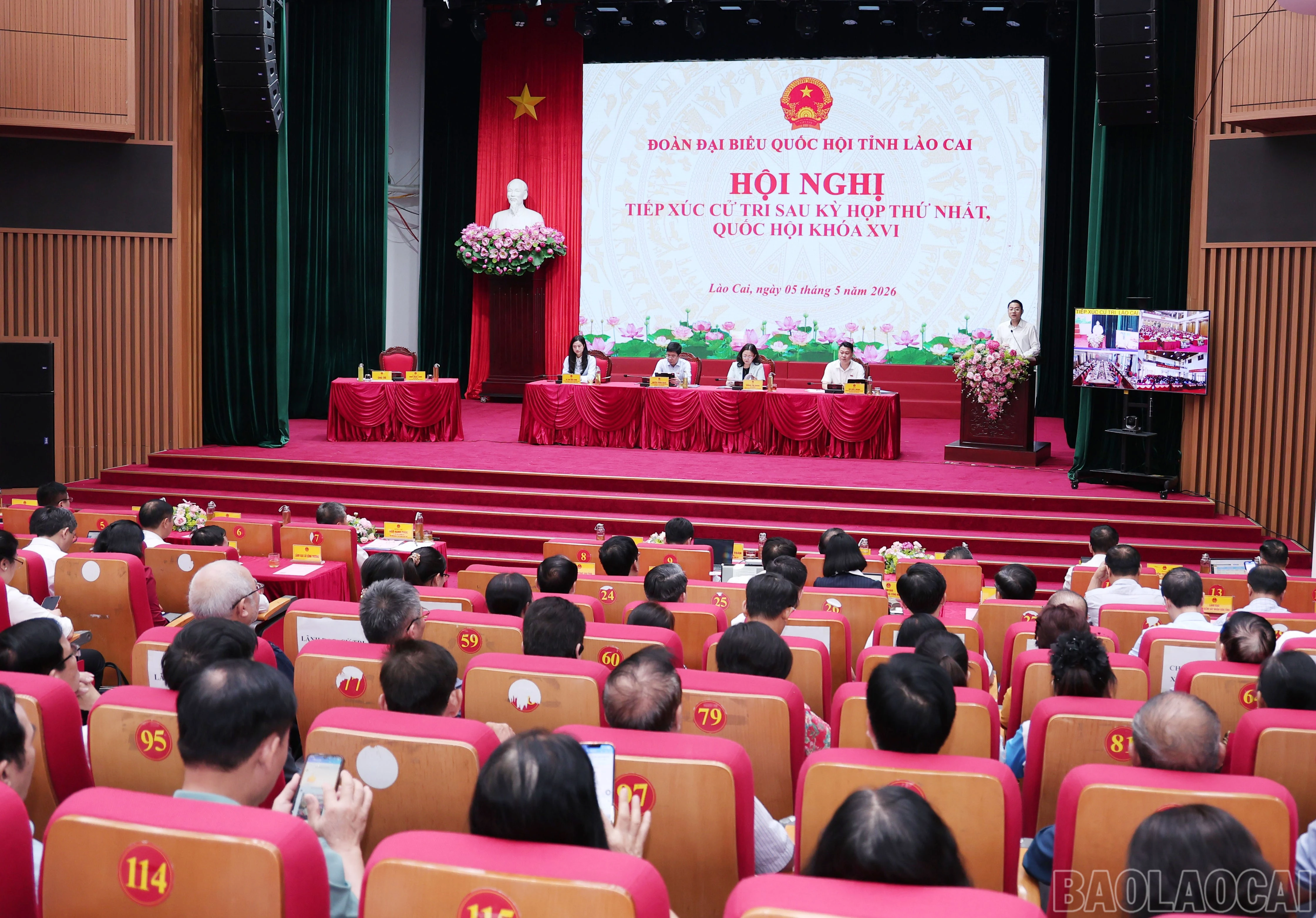 baolaocai-br_img-2967.jpg