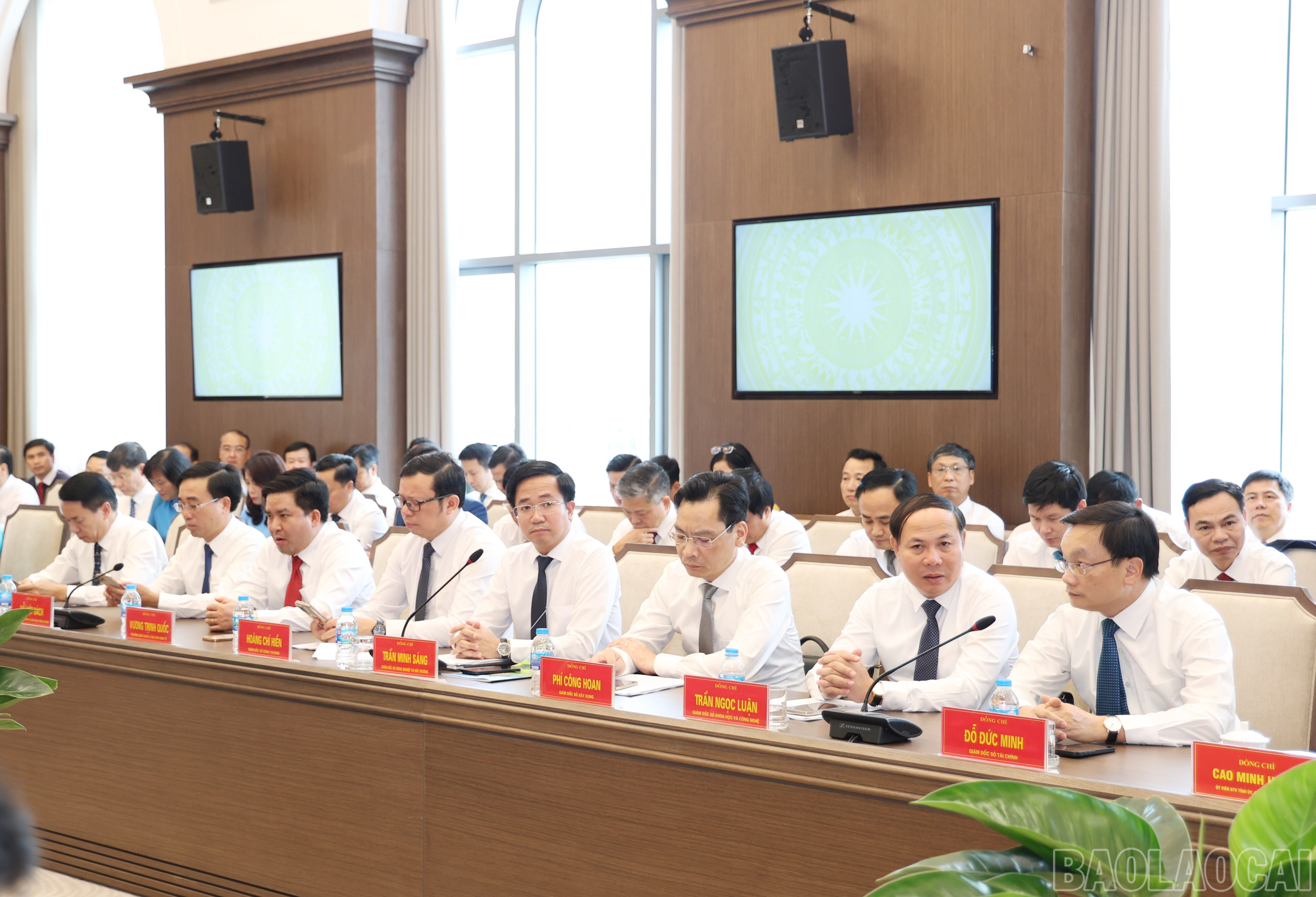 baolaocai-br_6348.jpg