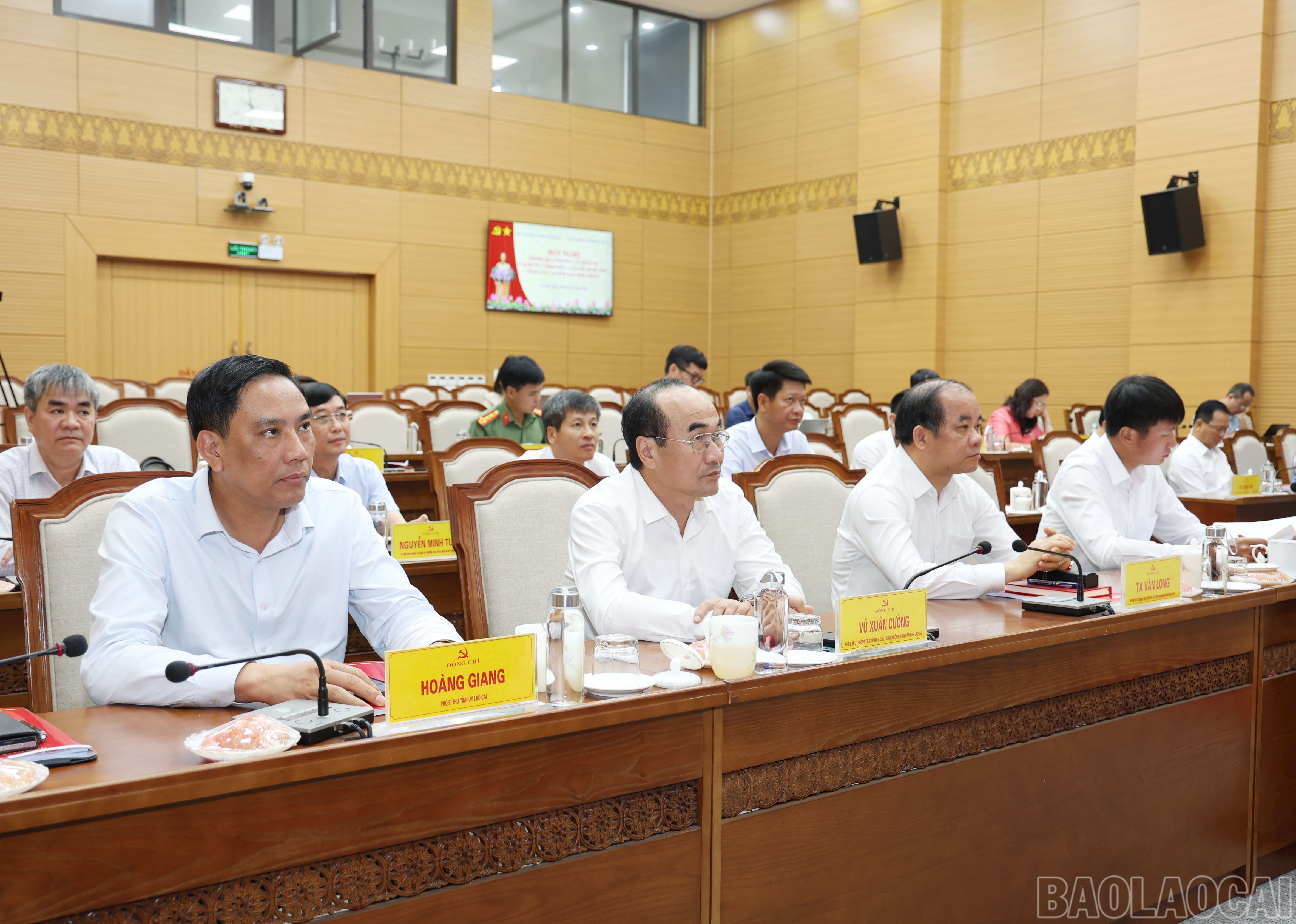 baolaocai-br_5632.jpg