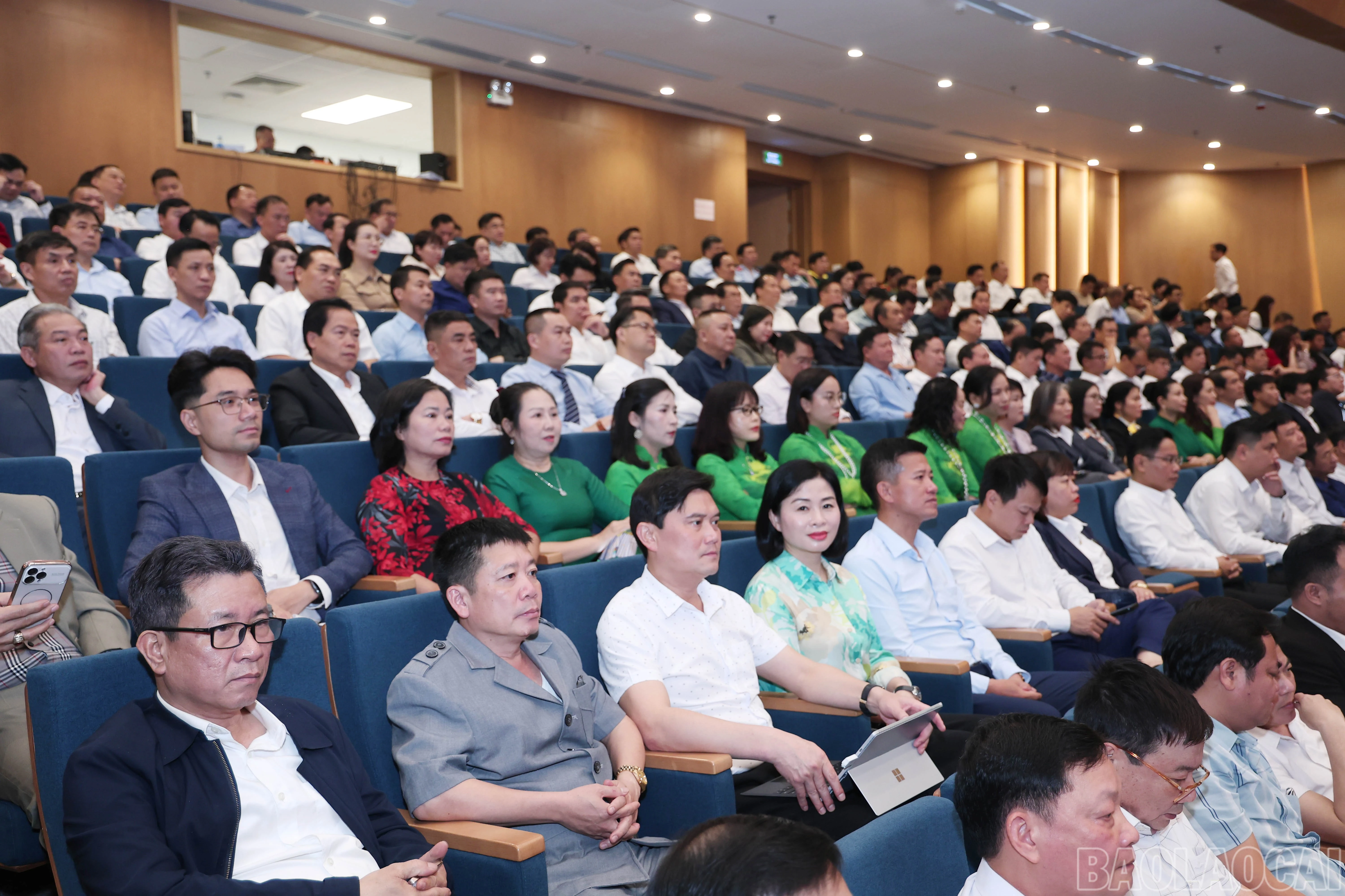 baolaocai-br_img-0439.jpg