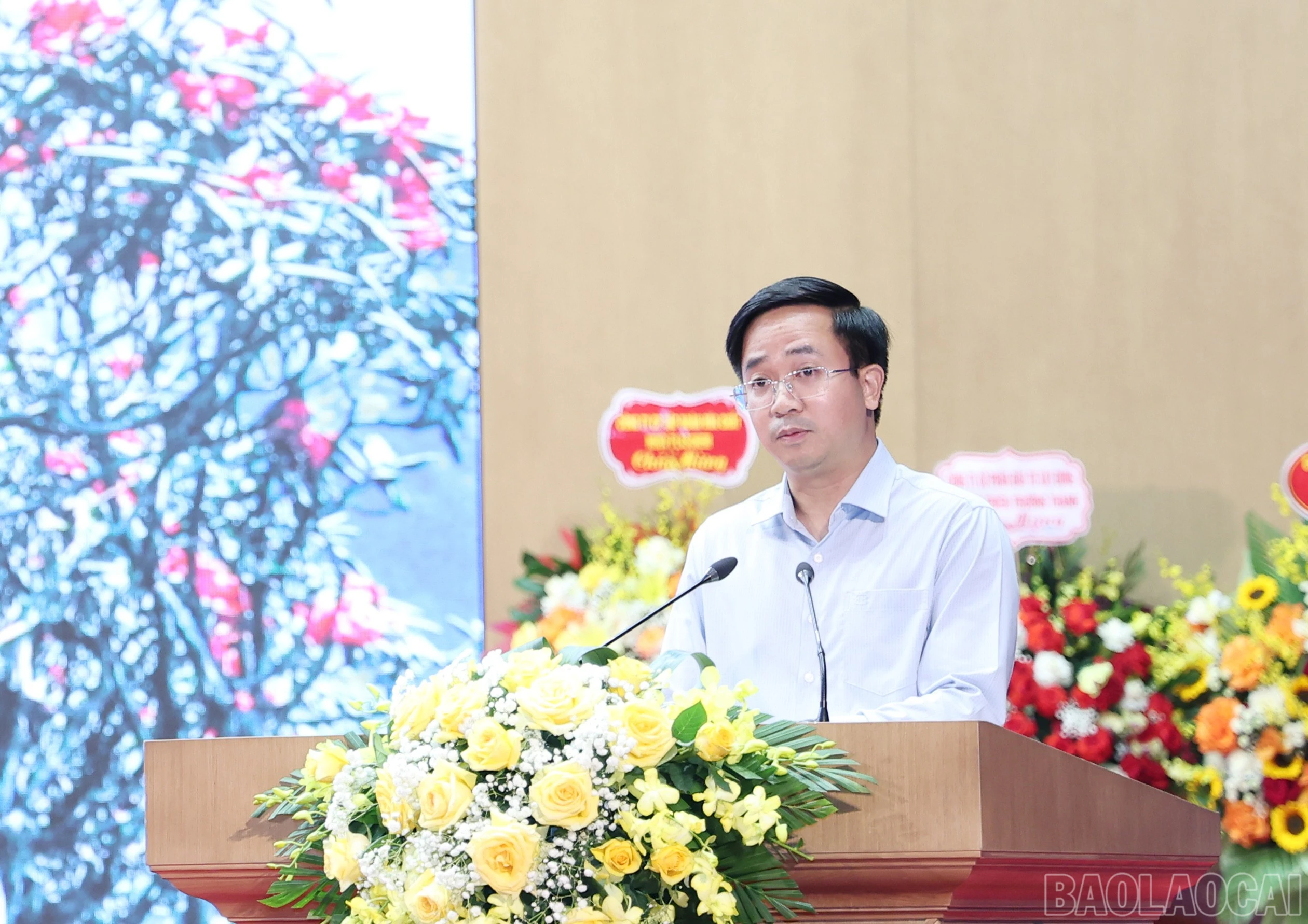 baolaocai-br_img-0507.jpg