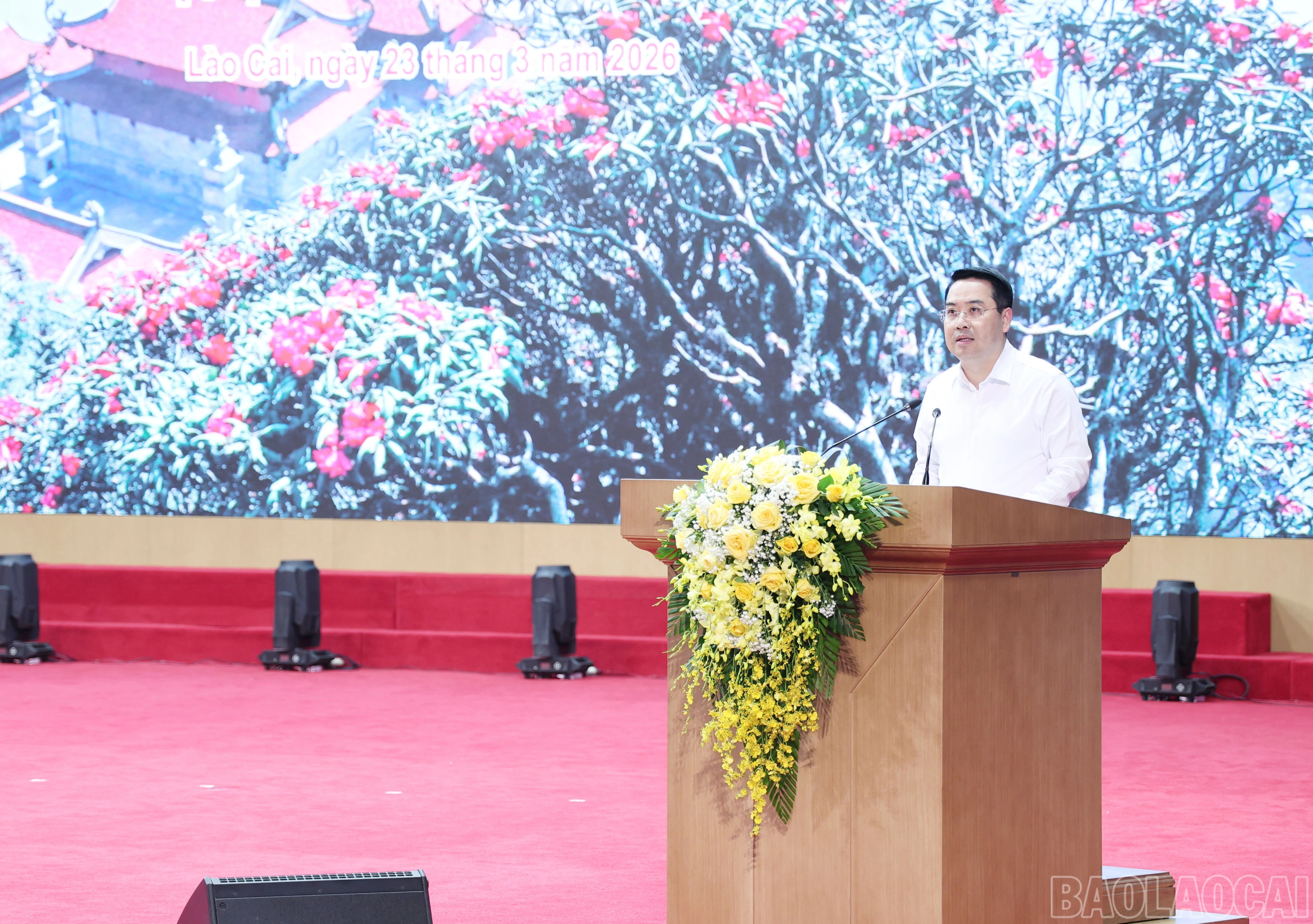 baolaocai-br_img-0622.jpg