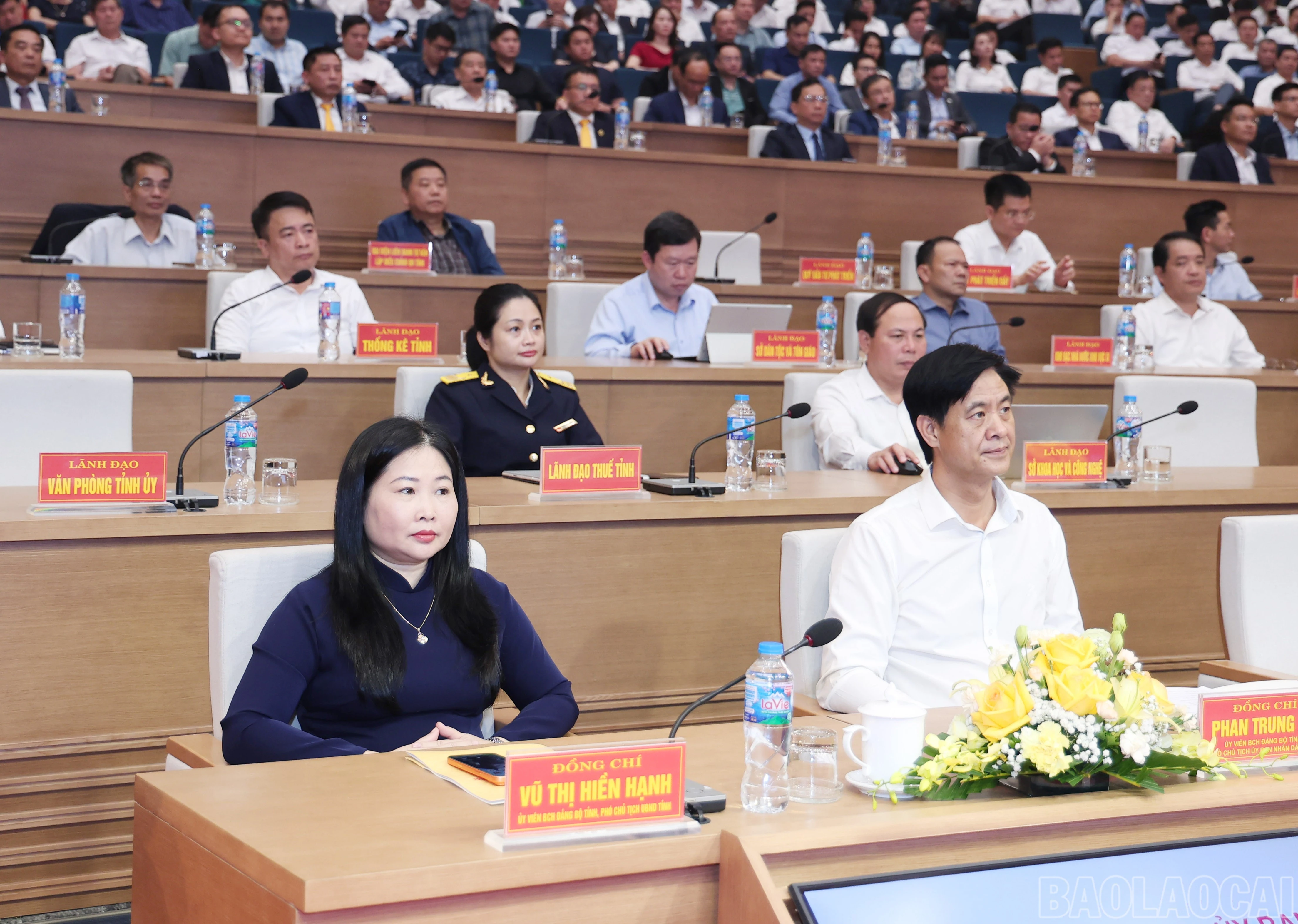 baolaocai-br_img-0406.jpg