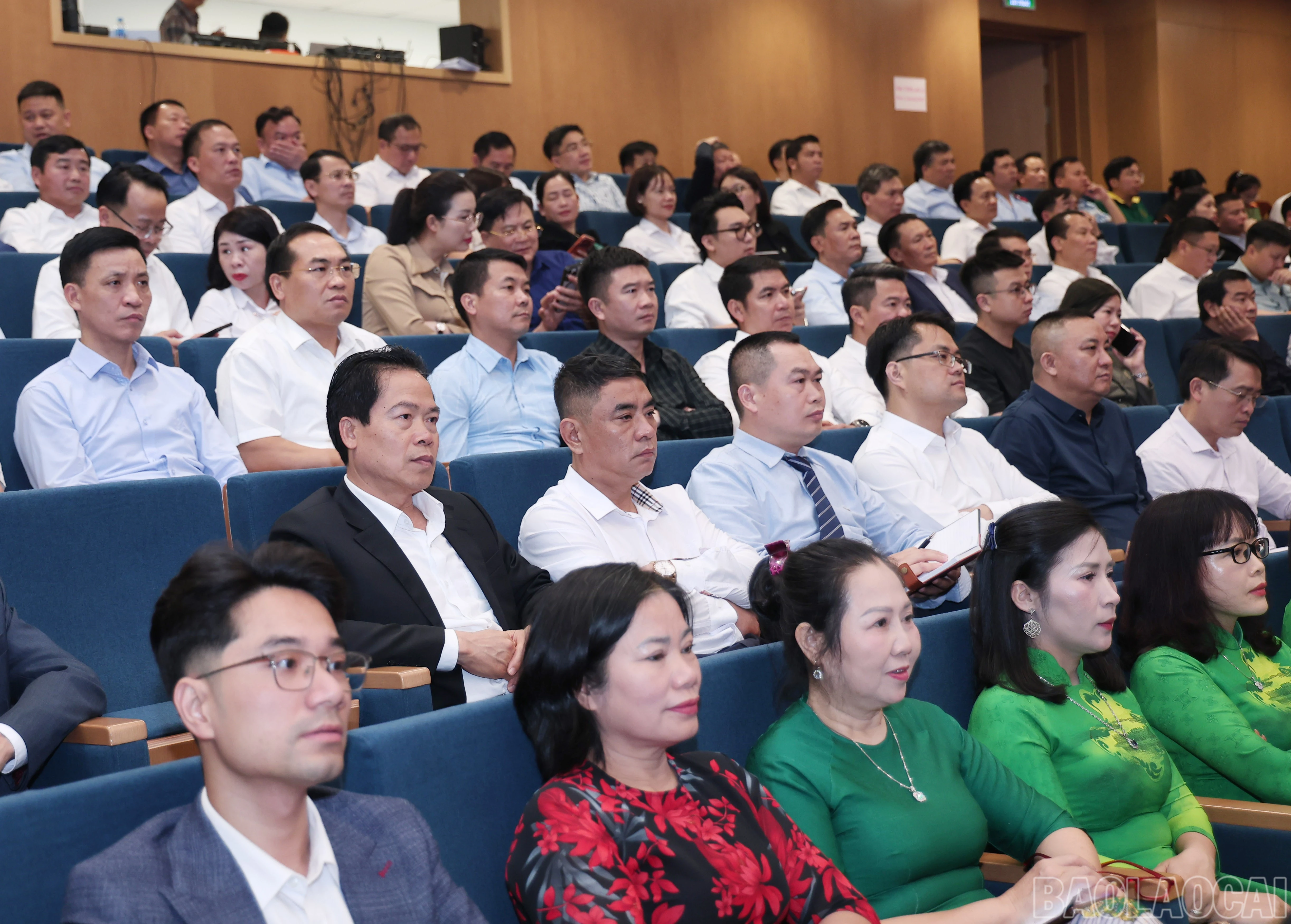 baolaocai-br_img-0447.jpg