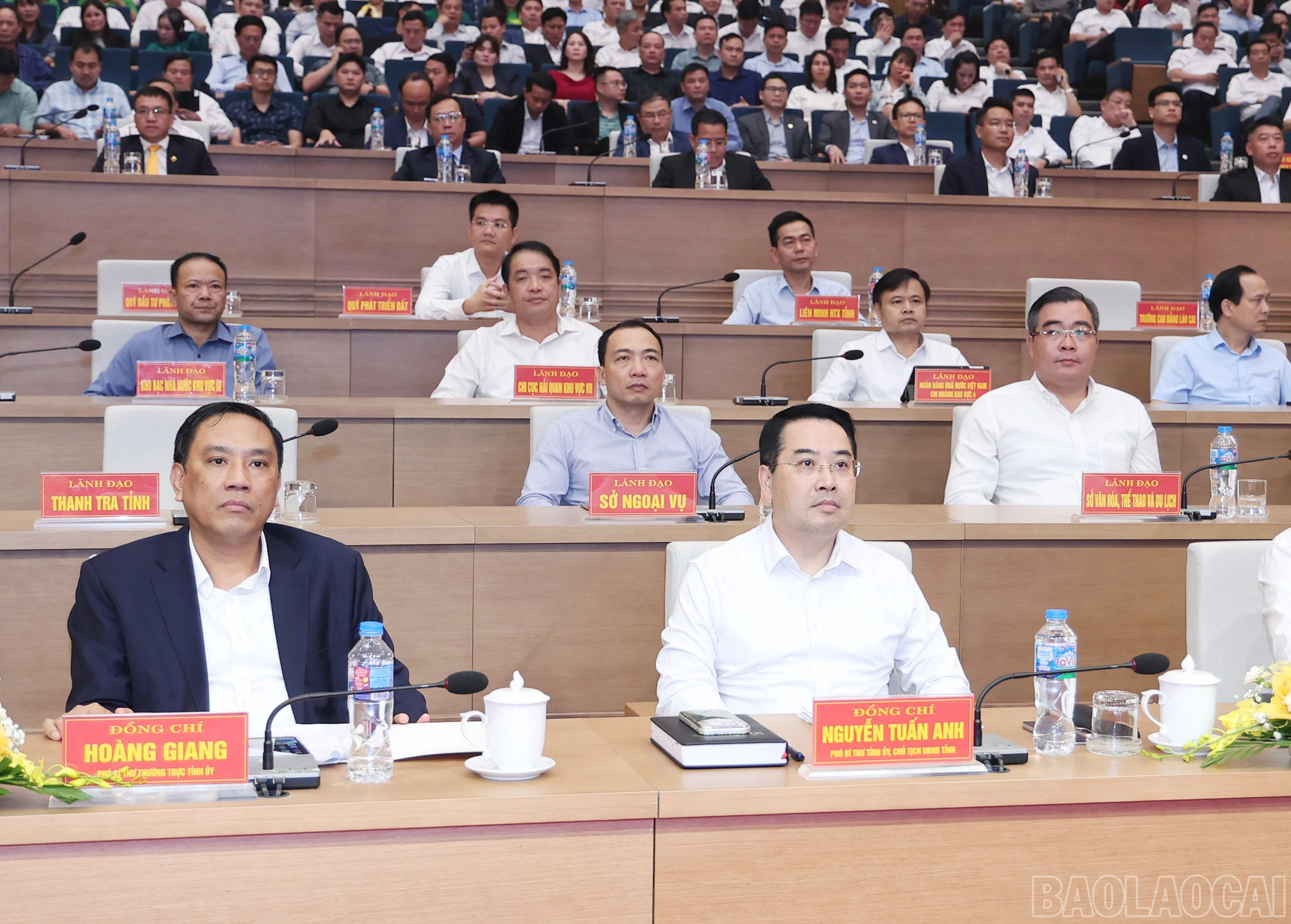 baolaocai-br_img-0399.jpg