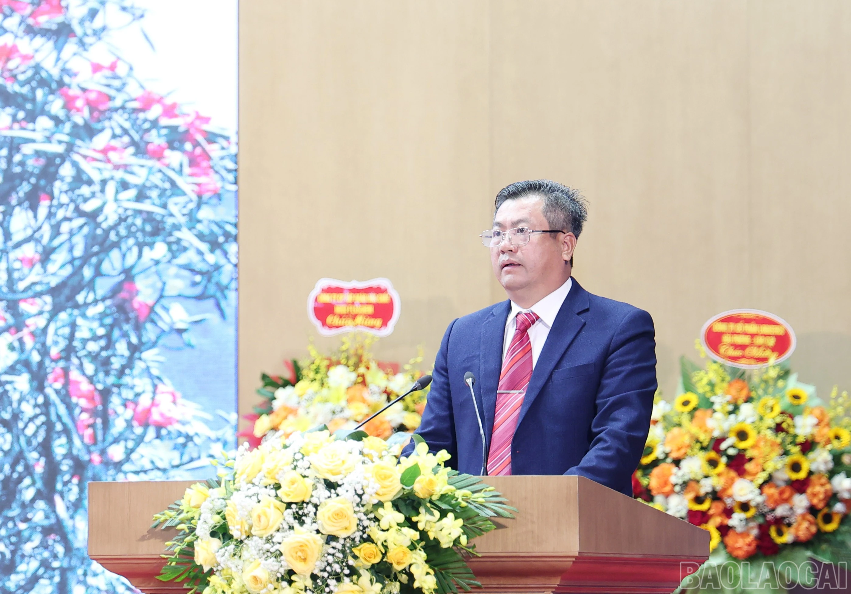 baolaocai-br_img-0535.jpg