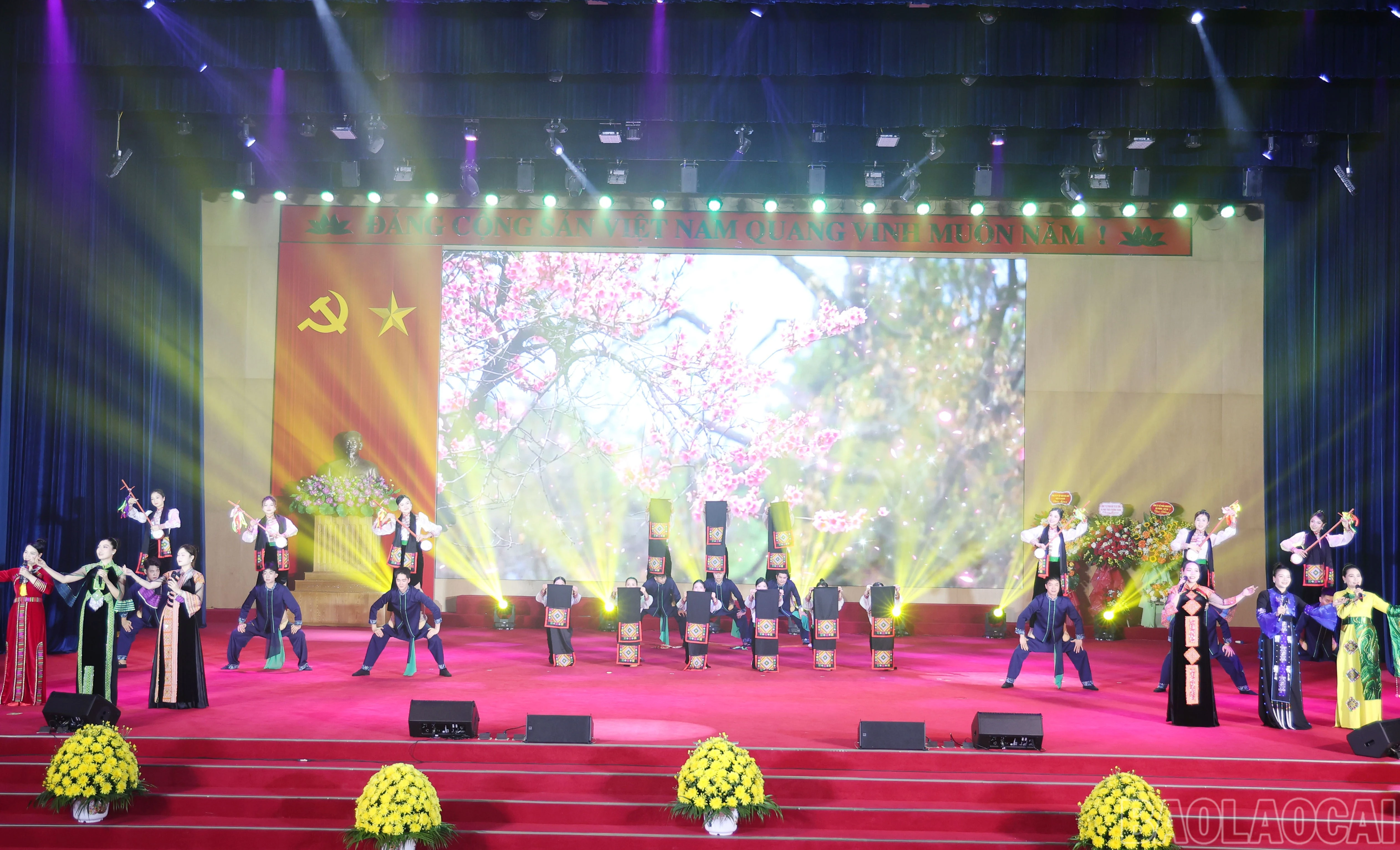 baolaocai-br_img-0391.jpg